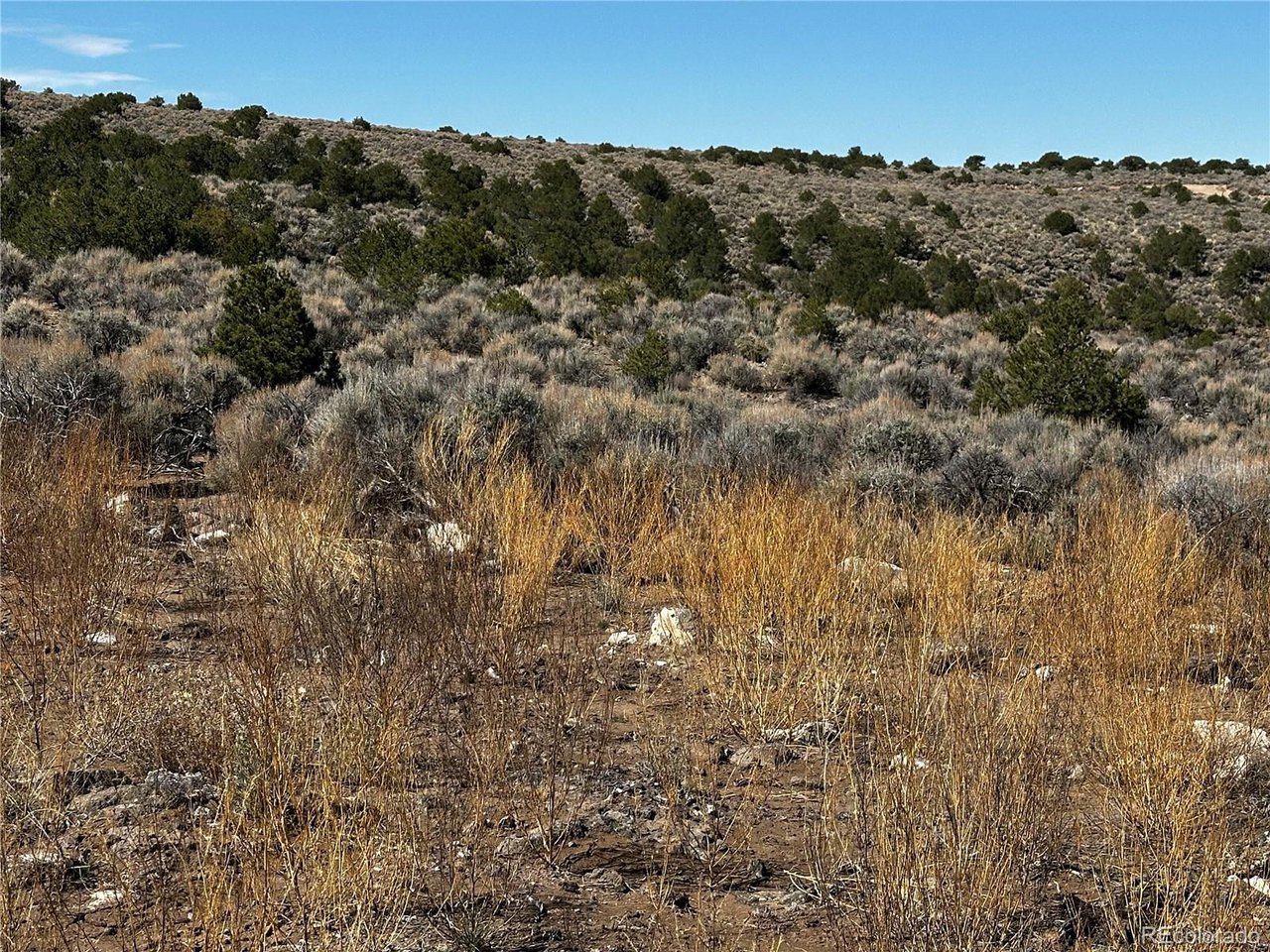 2526 Bildy Road Fort Garland, CO 81133 - Photo 15 of 15 Gallery Image 15