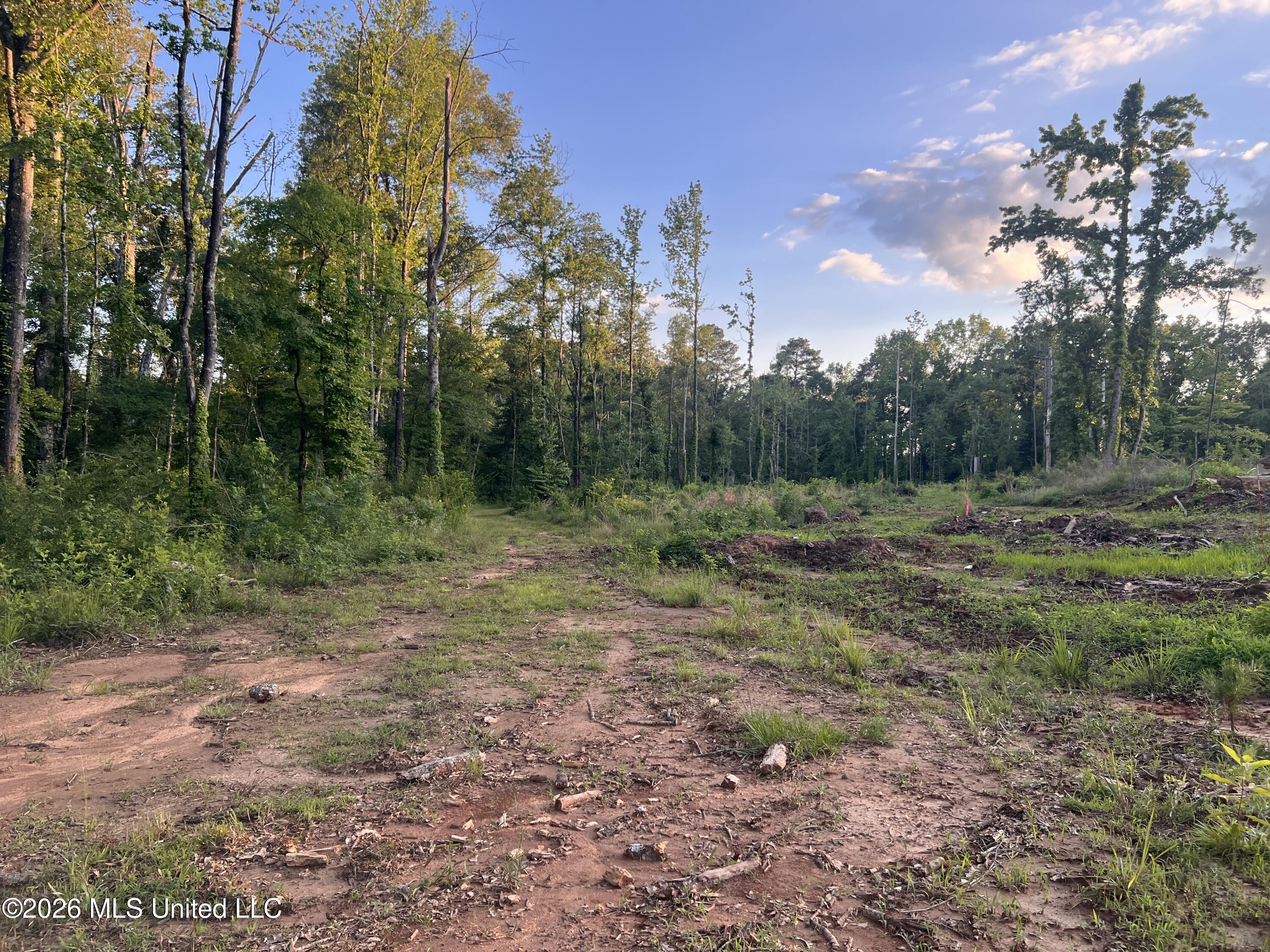 5734 Hebron Road Liberty, MS 39645 - Photo 20 of 32 20.