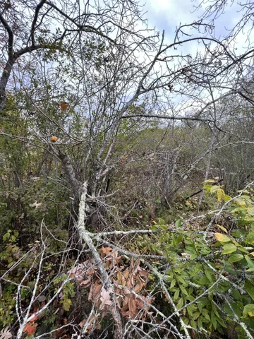 $40,000 | 817 Red Bridge Road, Ellsworth, ME 04605