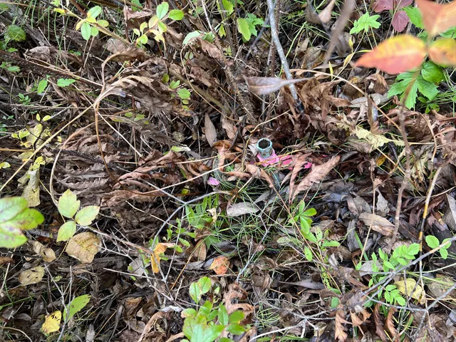 $40,000 | 817 Red Bridge Road, Ellsworth, ME 04605