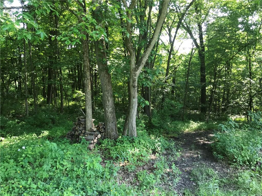 518 Reese Road Slippery Rock, PA 16057 - Photo 24 of 24