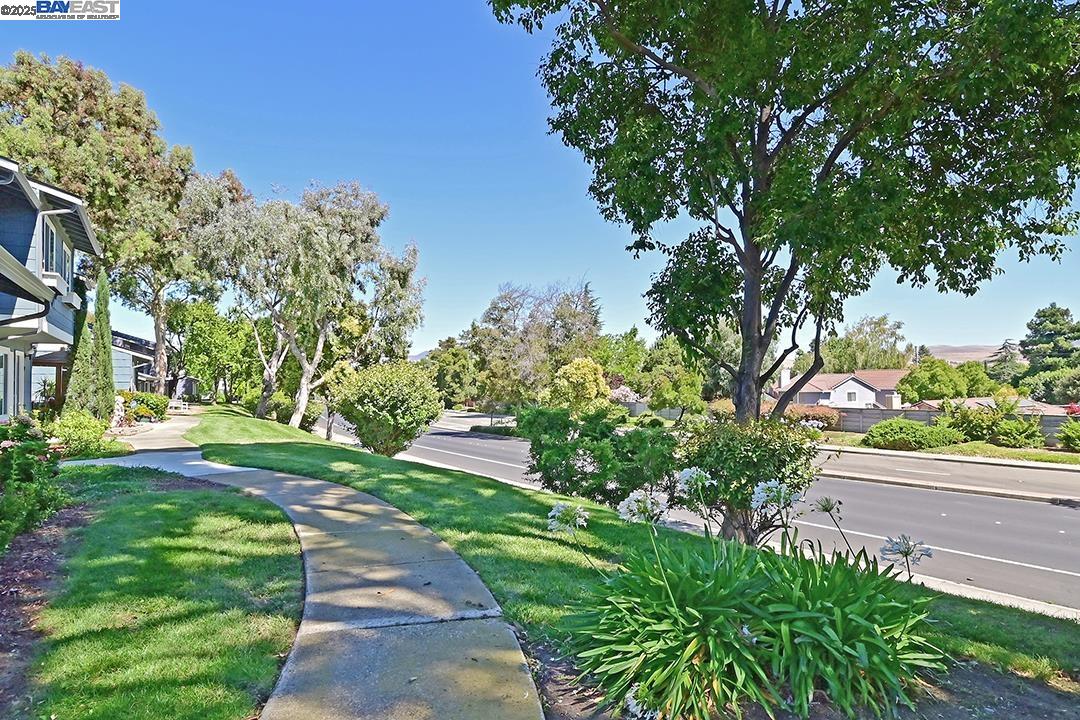 1031 Spring Valley Common Livermore, CA 94551 - Photo 22 of 26 a view of a yard with plants and large trees