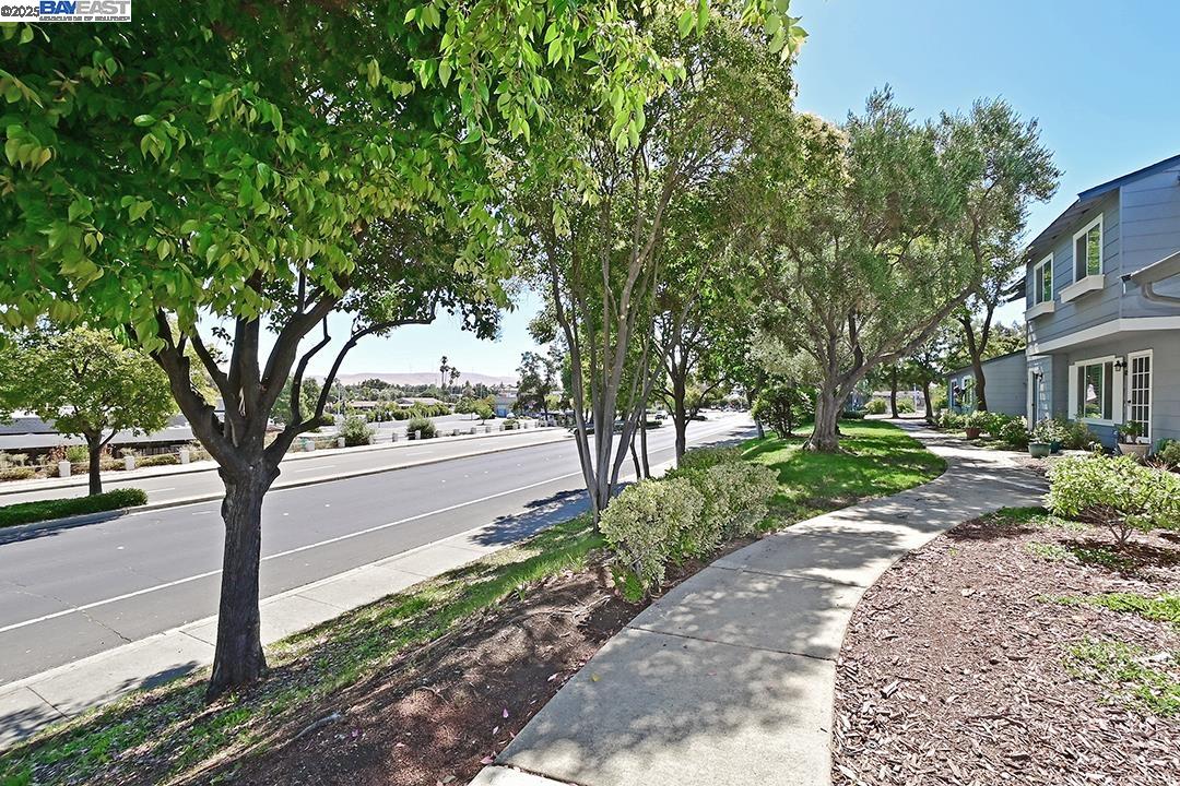1031 Spring Valley Common Livermore, CA 94551 - Photo 23 of 26 a view of road with tree in front of it