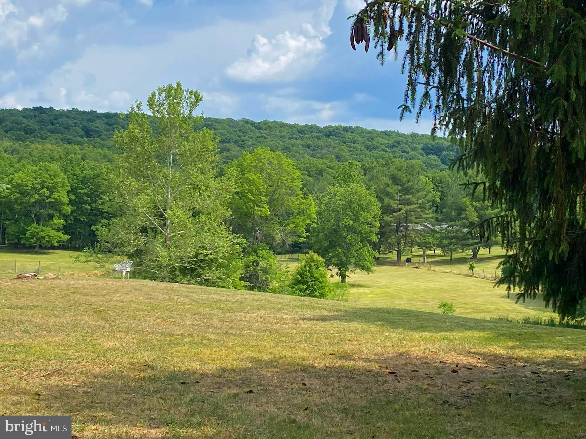 612 Marple Road Winchester, VA 22603 - Photo 11 of 61 Gallery Image 11