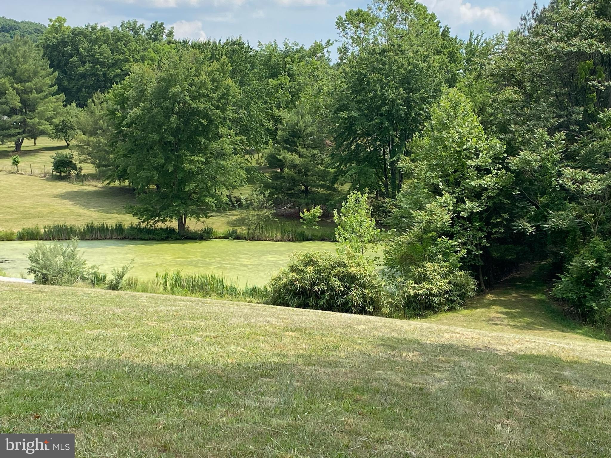 612 Marple Road Winchester, VA 22603 - Photo 12 of 61 Gallery Image 12