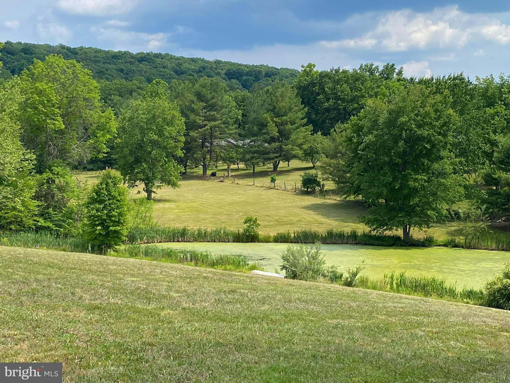 612 Marple Road Winchester, VA 22603 - Photo 13 of 61 Gallery Image 13
