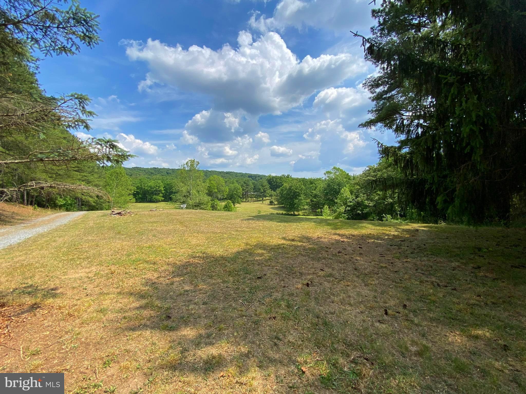 612 Marple Road Winchester, VA 22603 - Photo 15 of 61 Gallery Image 15