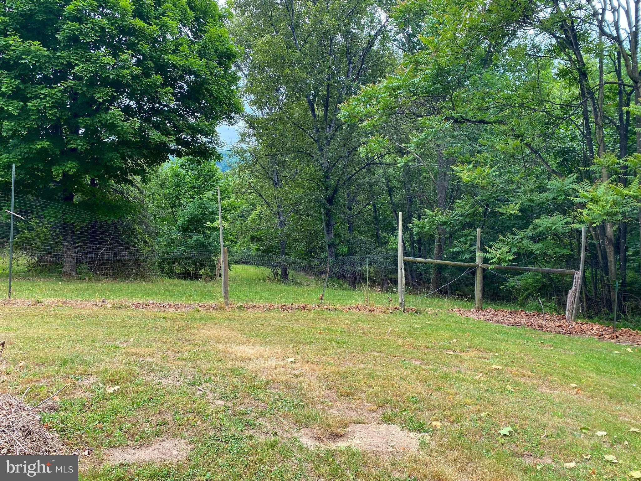 612 Marple Road Winchester, VA 22603 - Photo 29 of 61 Gallery Image 29