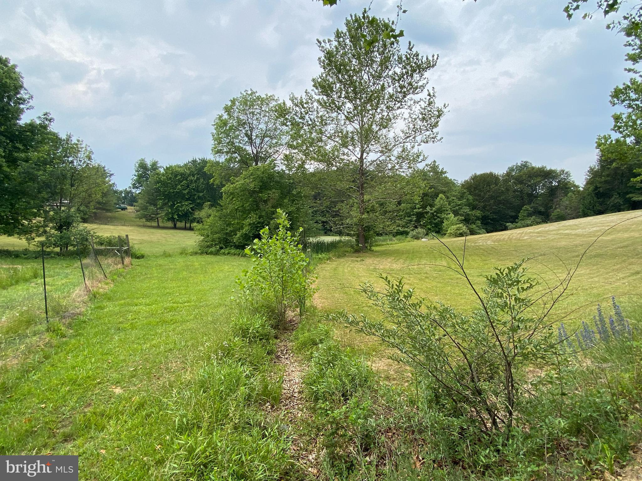 612 Marple Road Winchester, VA 22603 - Photo 39 of 61 Gallery Image 39