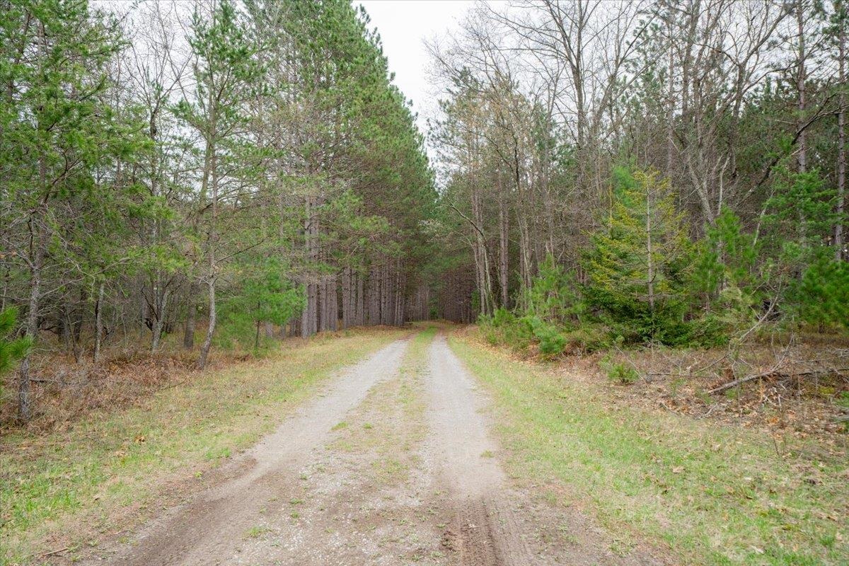 7734 West Partlo Road Whittemore, MI 48770 - Photo 5 of 45