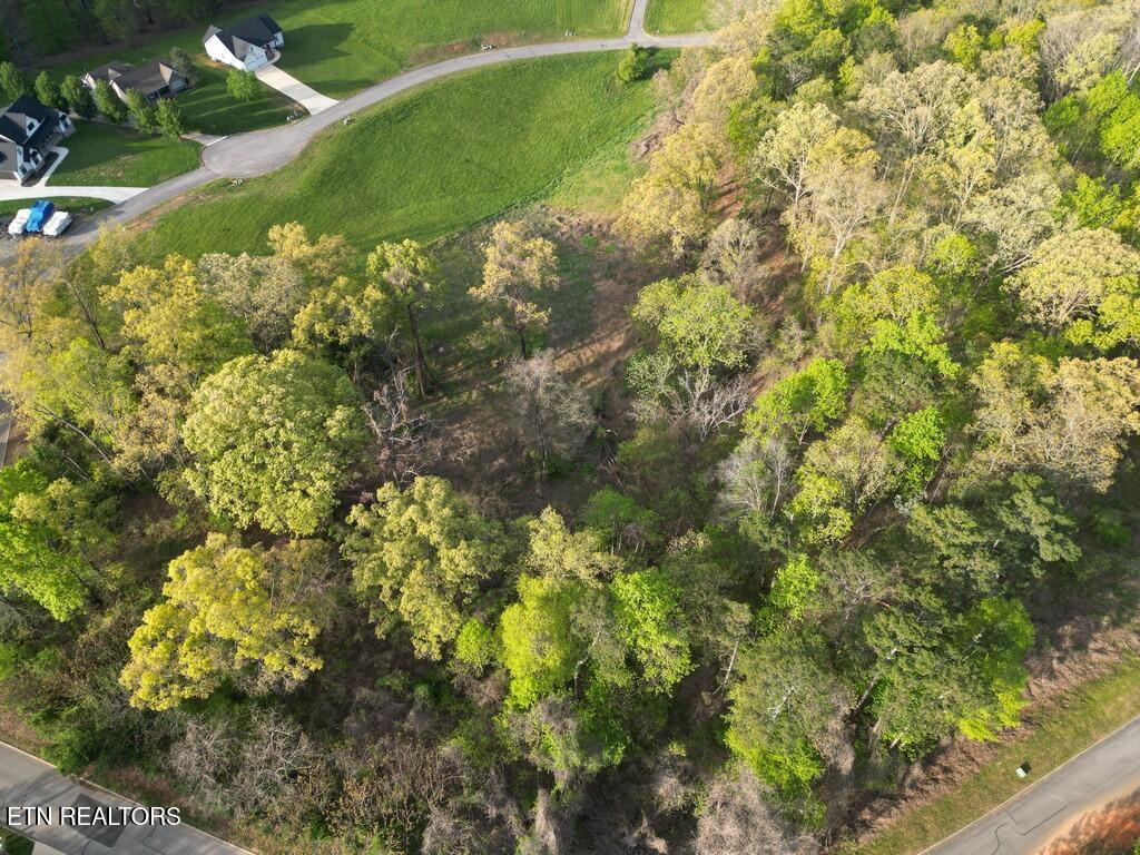 140 Tumbleweed Trail Rutledge, TN 37861 - Photo 12 of 18 12