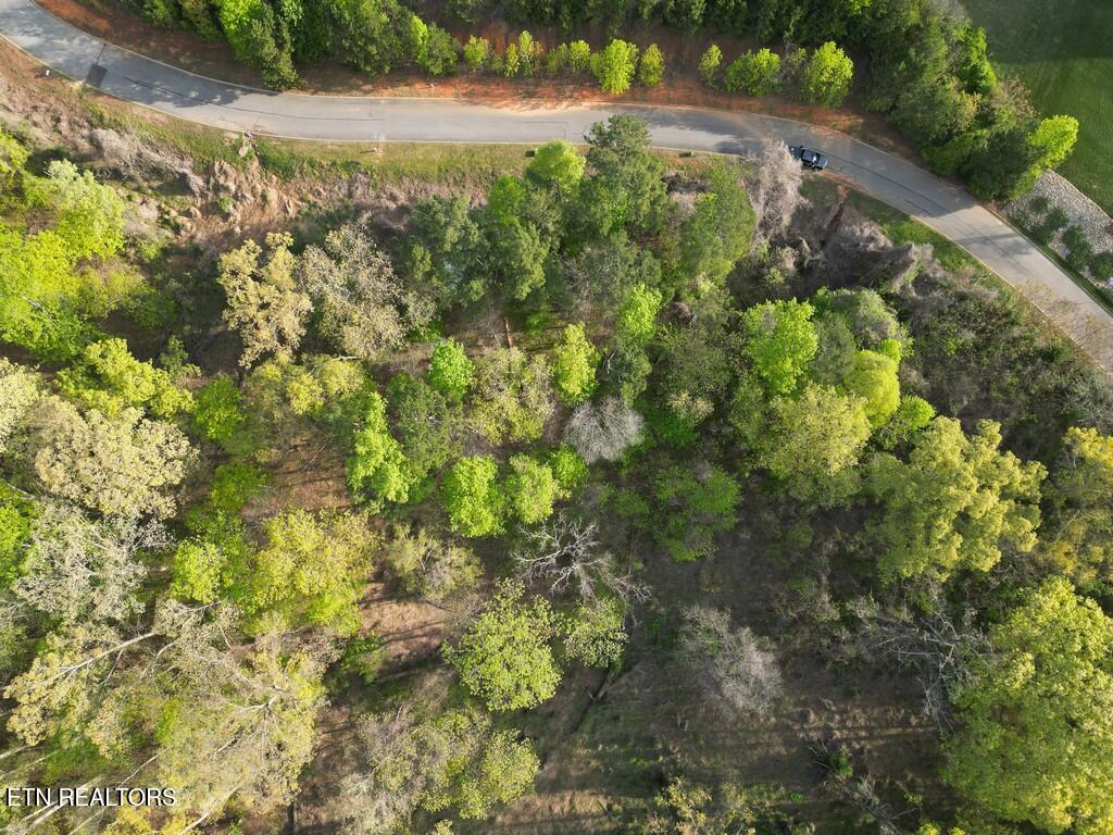 140 Tumbleweed Trail Rutledge, TN 37861 - Photo 12 of 15 11