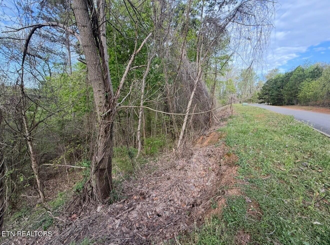 140 Tumbleweed Trail Rutledge, TN 37861 - Photo 5 of 15 side