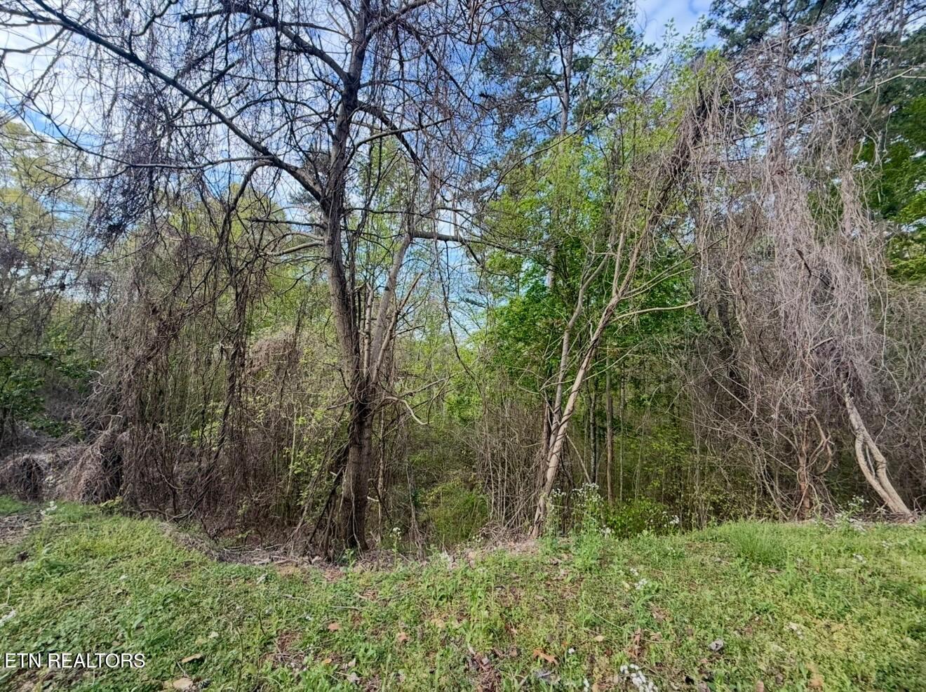 140 Tumbleweed Trail Rutledge, TN 37861 - Photo 6 of 15 5