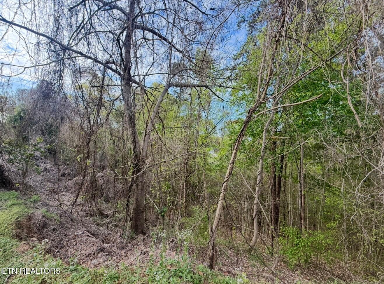 140 Tumbleweed Trail Rutledge, TN 37861 - Photo 6 of 18 6