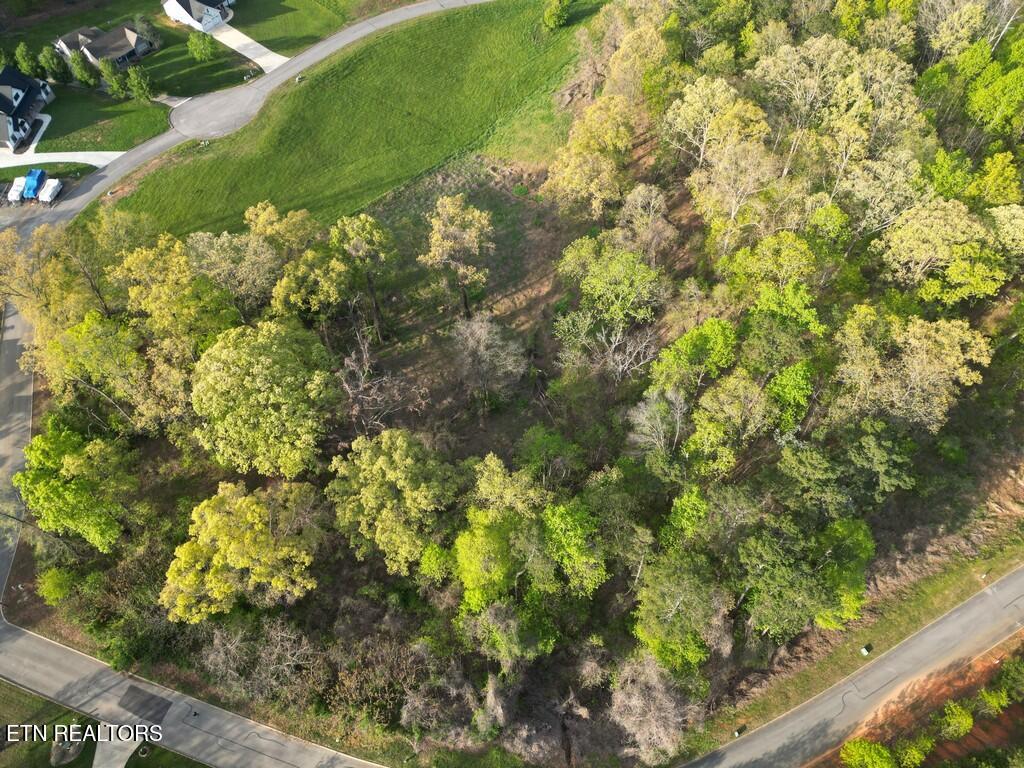 140 Tumbleweed Trail Rutledge, TN 37861 - Photo 8 of 18 8