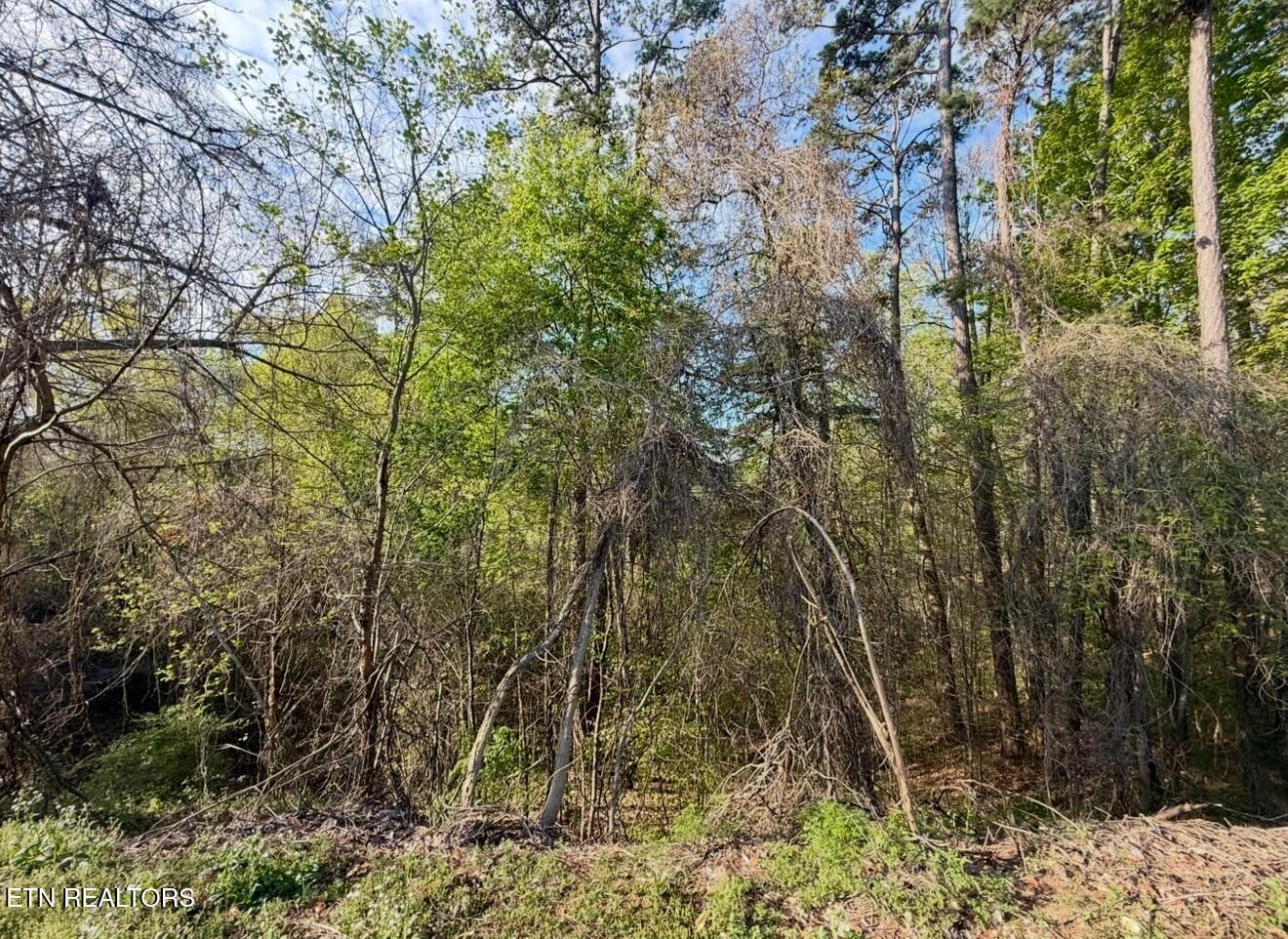 140 Tumbleweed Trail Rutledge, TN 37861 - Photo 8 of 15 7