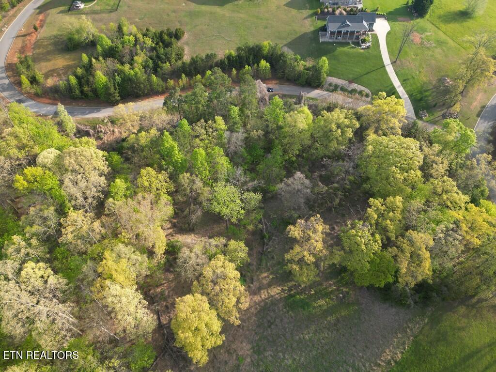 140 Tumbleweed Trail Rutledge, TN 37861 - Photo 9 of 18 9