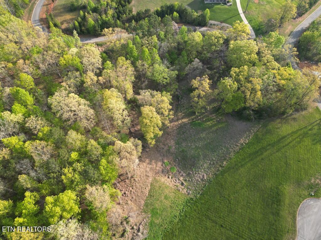 140 Tumbleweed Trail Rutledge, TN 37861 - Photo 10 of 18 10