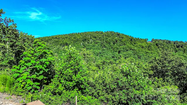 $384,900 | 485 Mountain Lookout Drive, Bostic, NC 28018