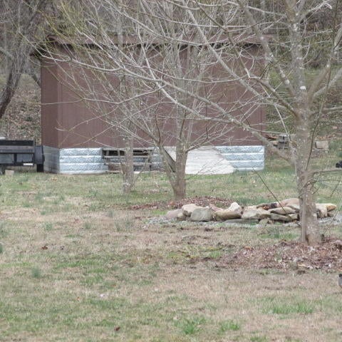 2683 Seebert Road Hillsboro, WV 24946 - Photo 20 of 24 Gallery Image 20
