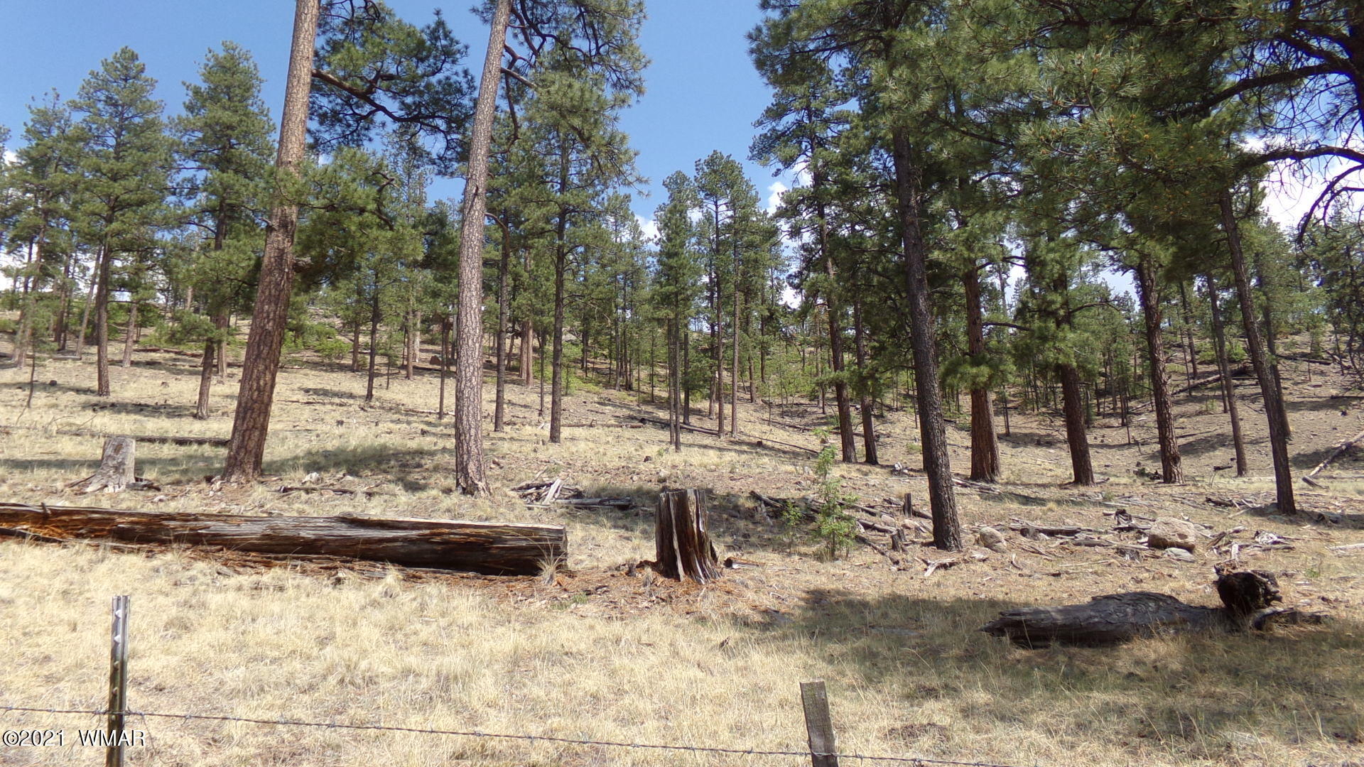 422 County Road Alpine, AZ 85920 - Photo 7 of 20