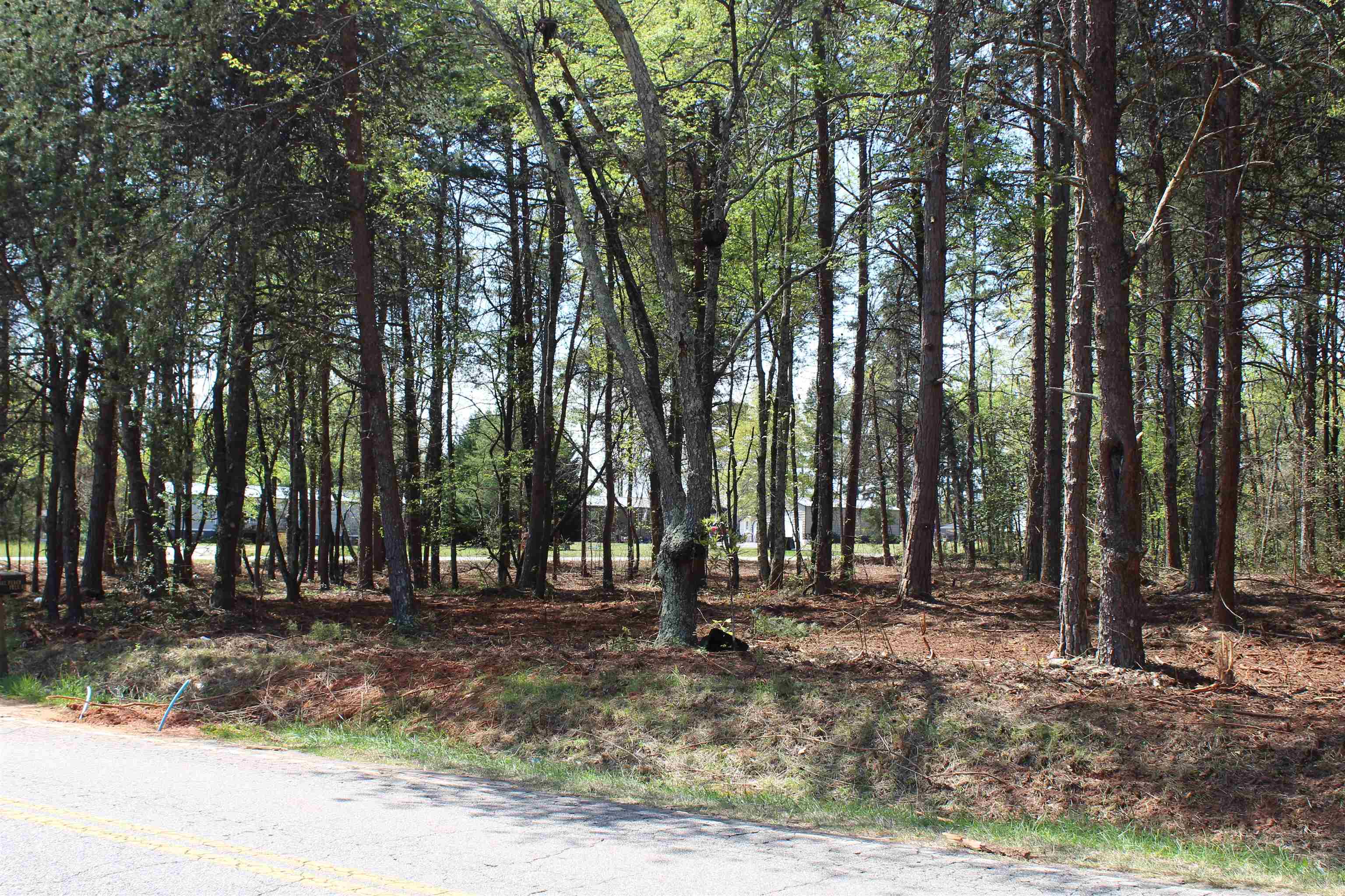 Lot 3 Peachtree Road Inman, SC 29349 - Photo 2 of 12