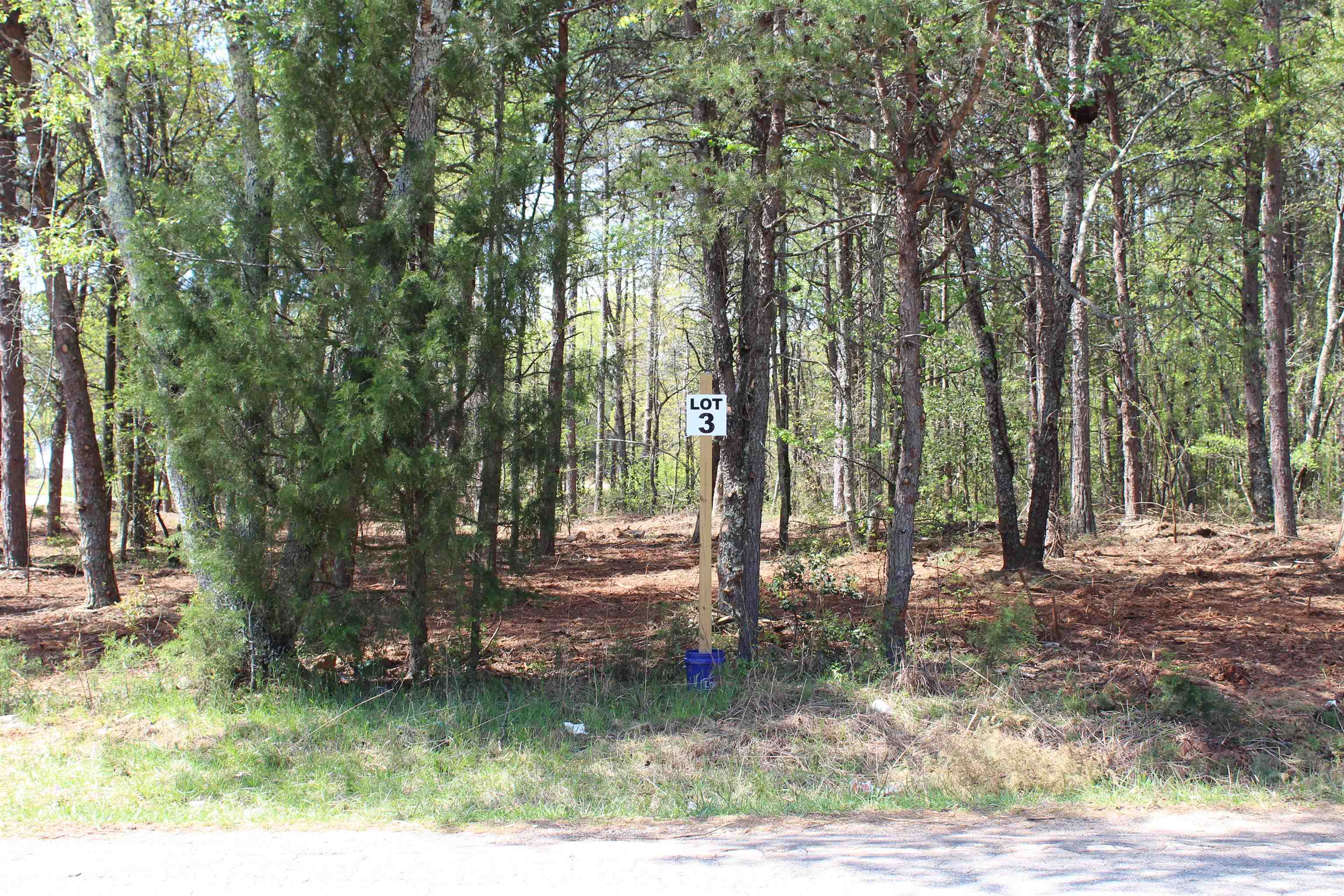 Lot 3 Peachtree Road Inman, SC 29349 - Photo 5 of 12