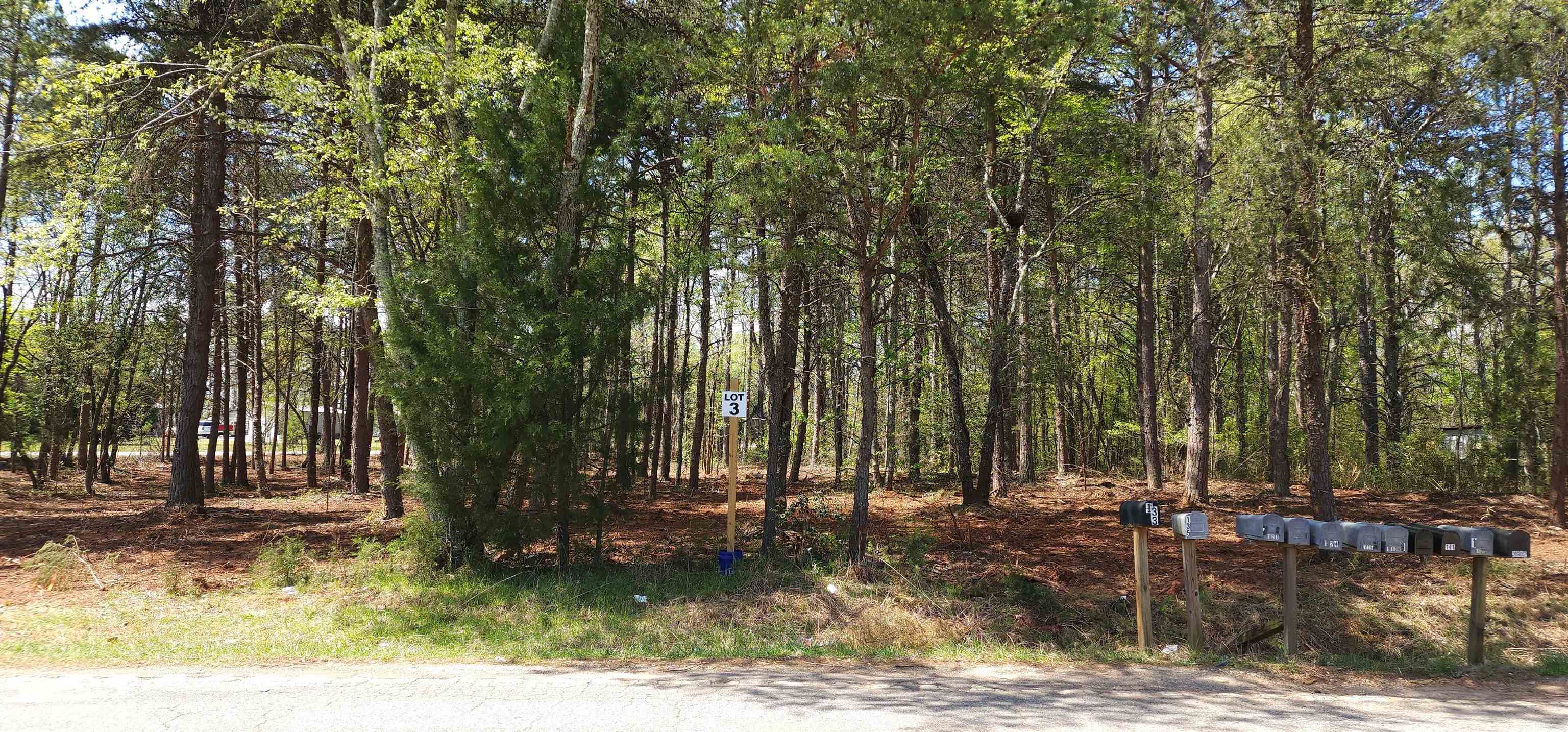 Lot 3 Peachtree Road Inman, SC 29349 - Photo 8 of 12