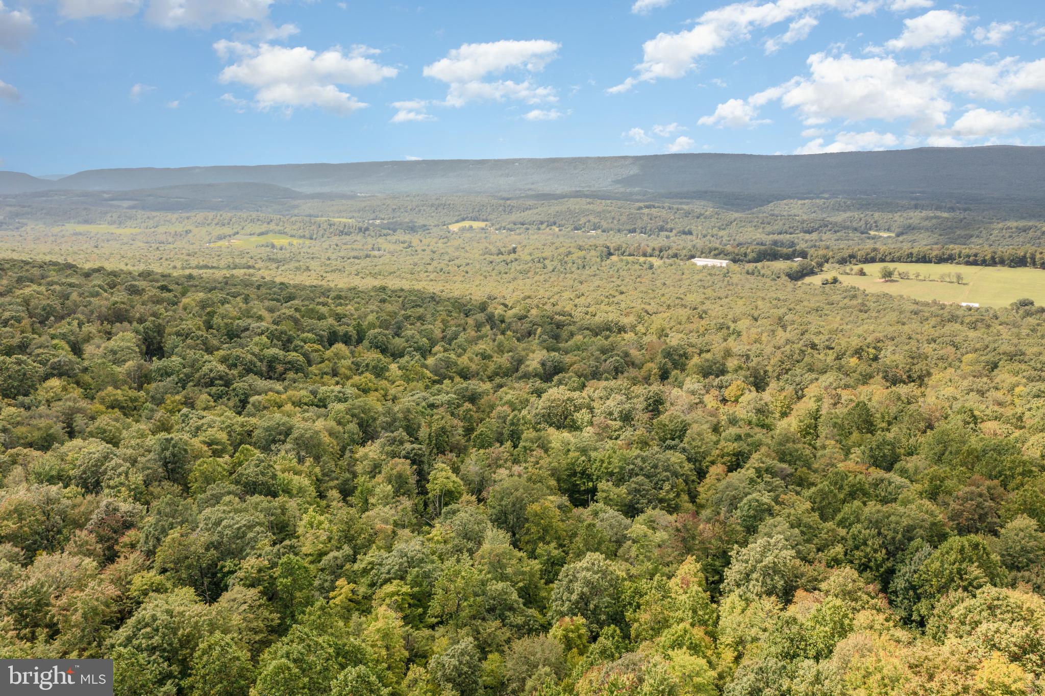 0 Wagner Road McClure, PA 17841 - Photo 4 of 7