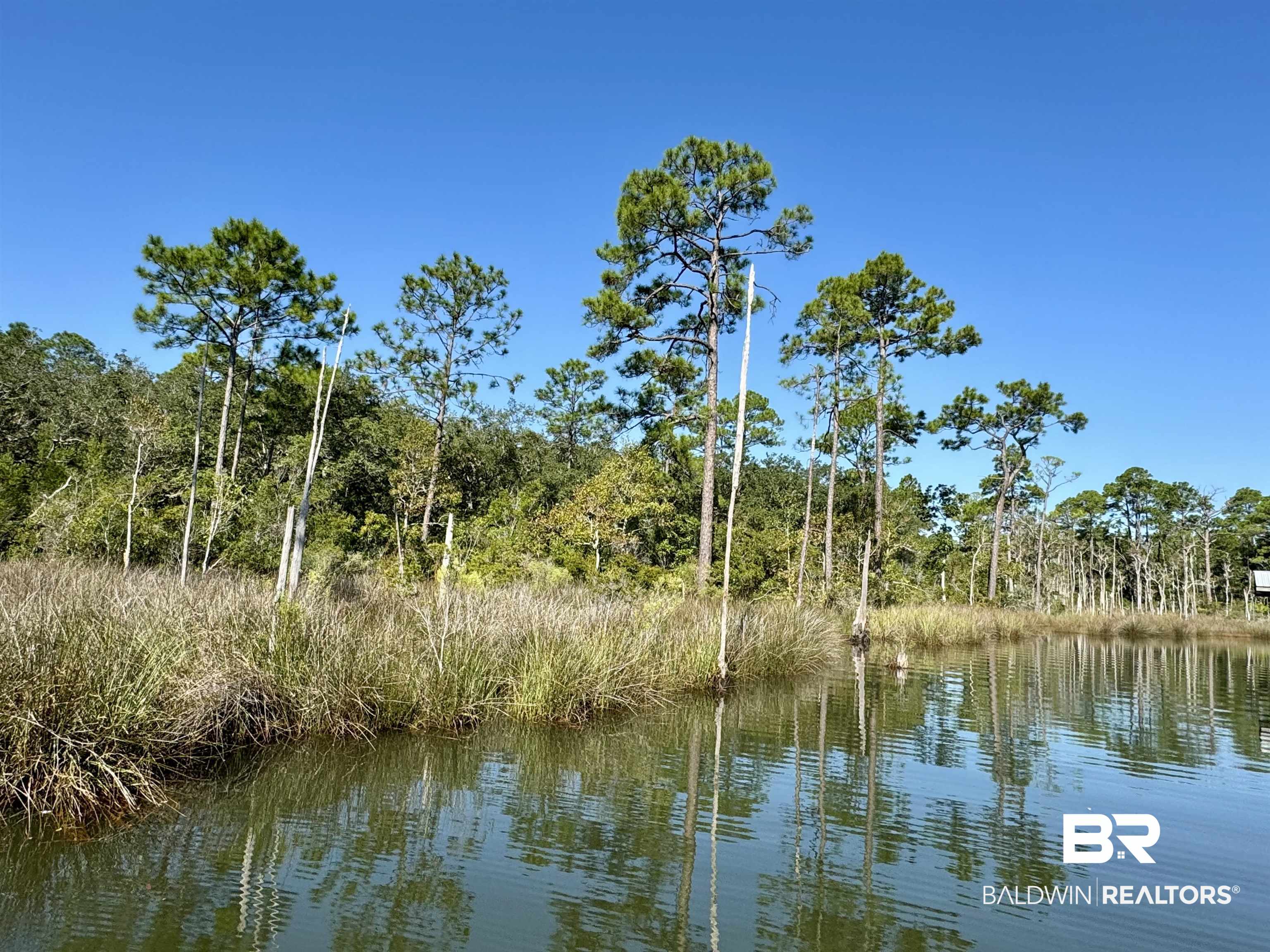 9545 North Bayou Road Lillian, AL 36549 - Photo 28 of 34 Water view