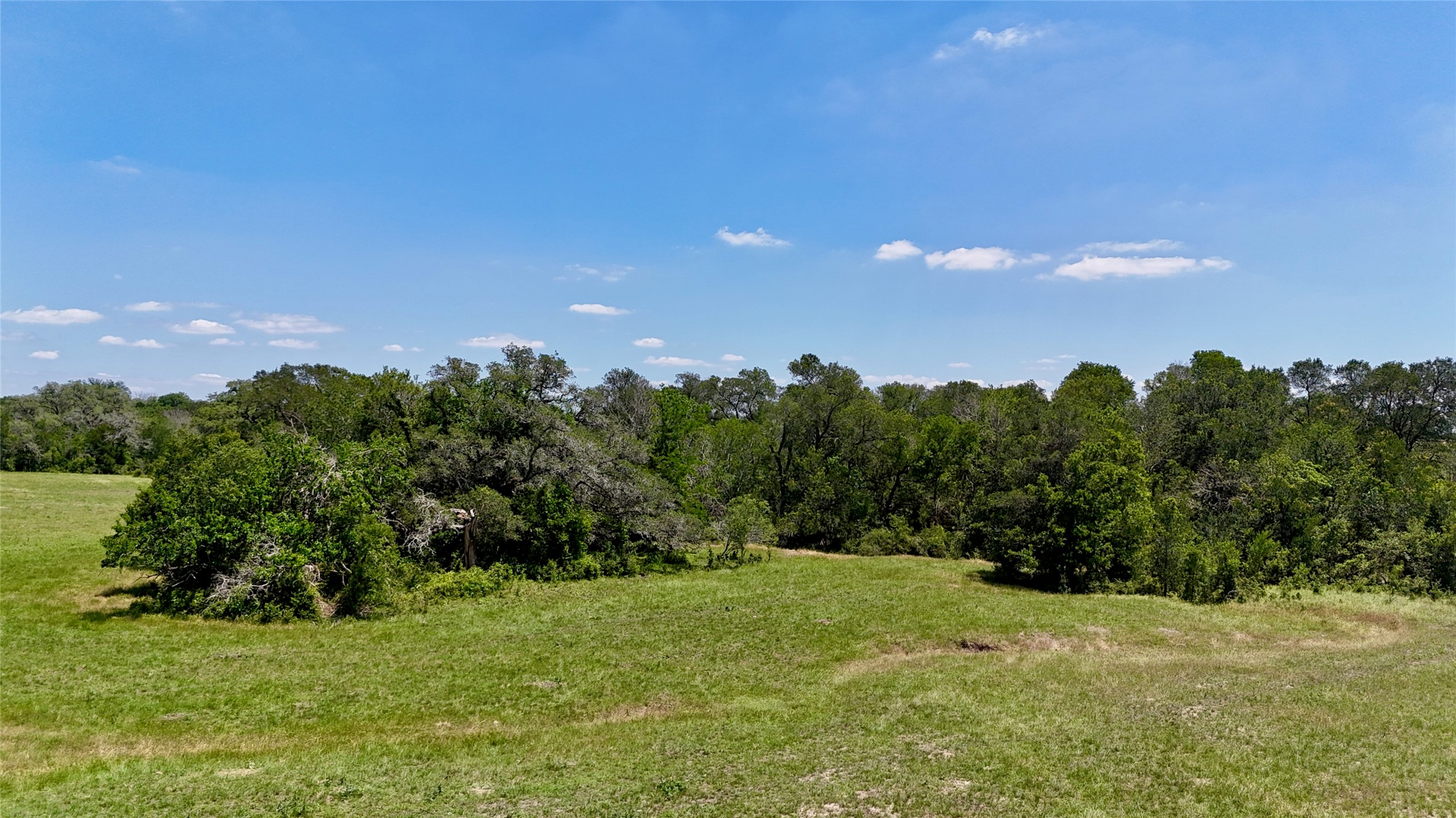 2170 Langdon Road Weimar, TX 78962 - Photo 9 of 31