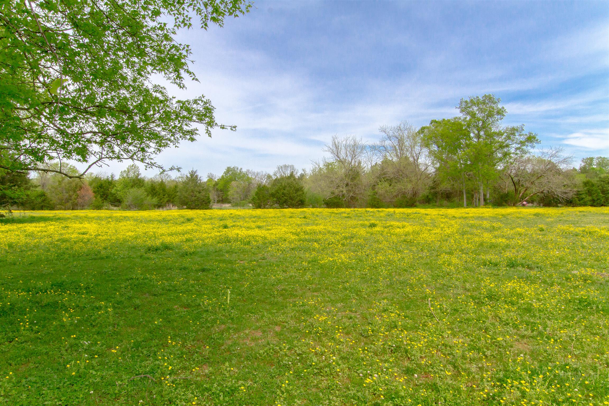 2284 Murray-Kittrell Road Readyville, TN 37149 - Photo 2 of 30 12.55 Level Acres-fenced and cross fenced for animals