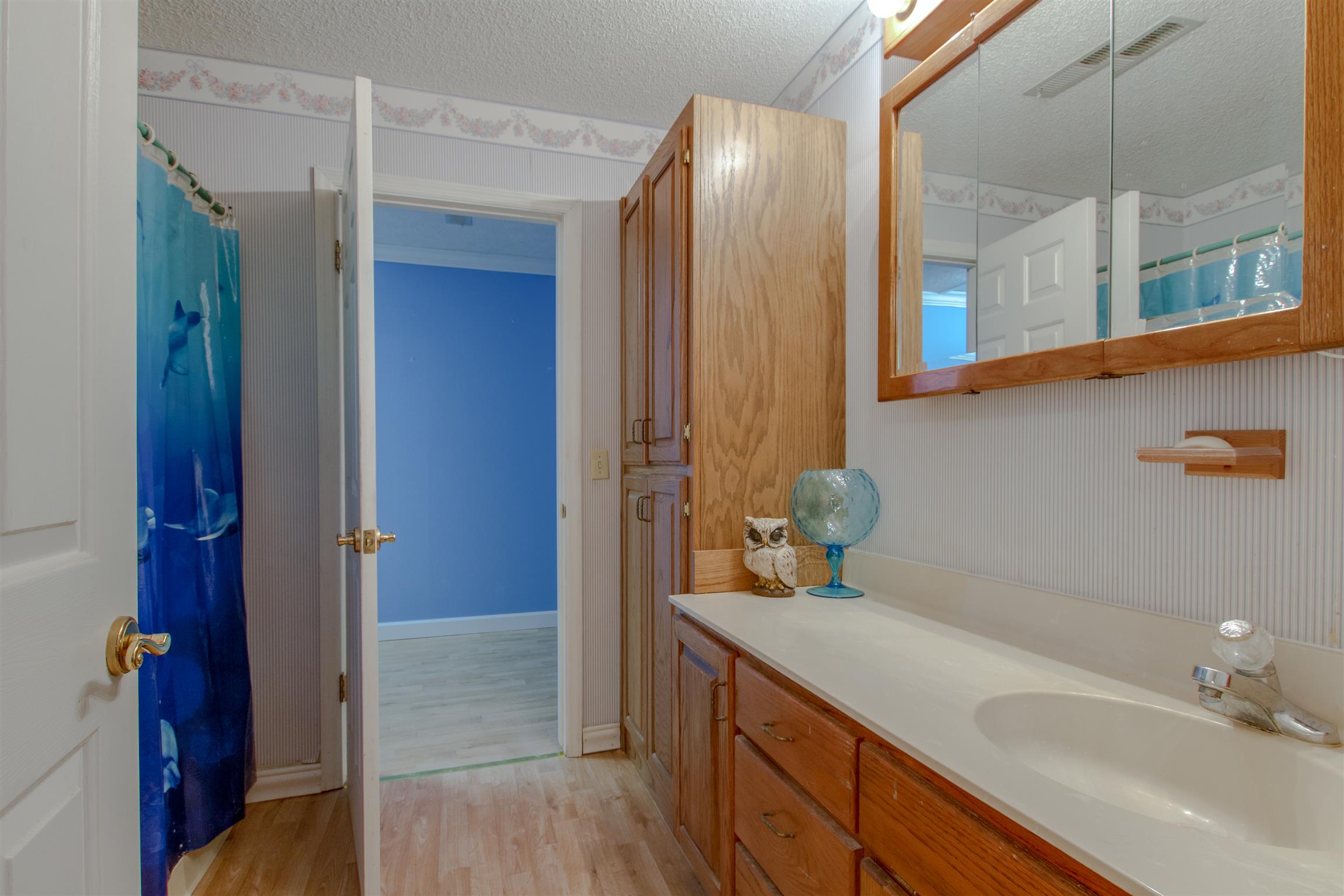 2284 Murray-Kittrell Road Readyville, TN 37149 - Photo 20 of 30 Master bath opens up into laundry room