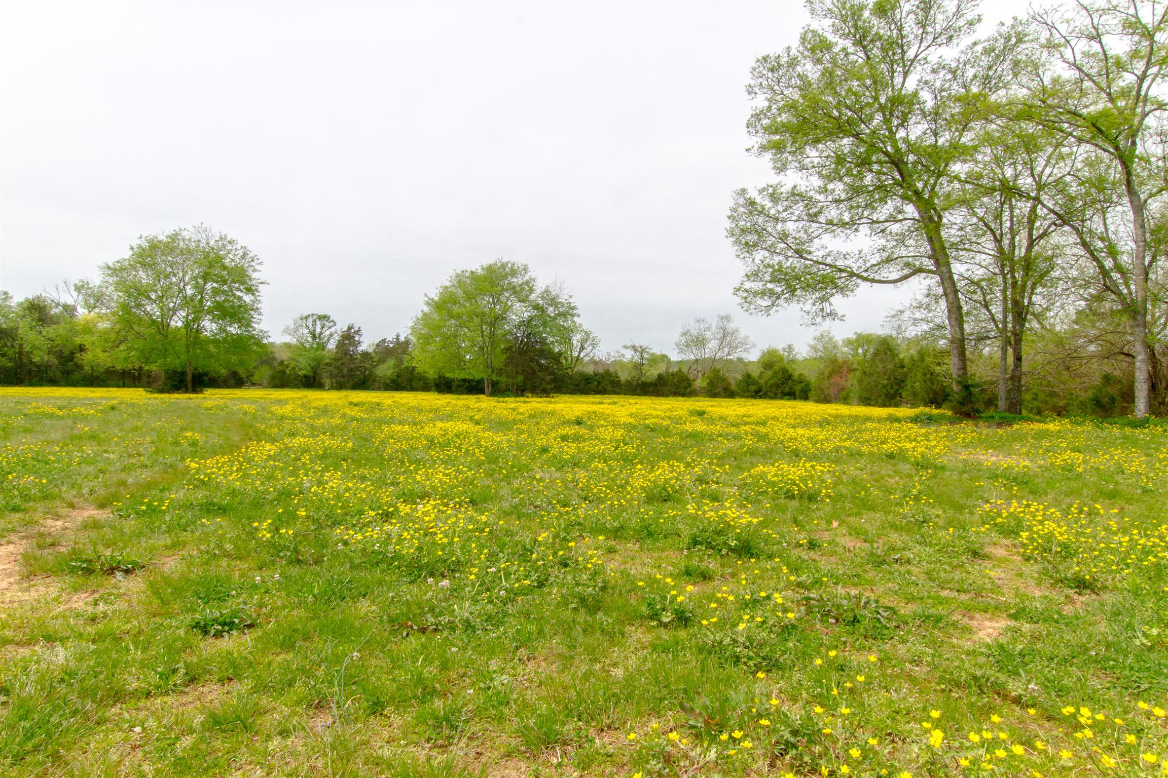 2284 Murray-Kittrell Road Readyville, TN 37149 - Photo 8 of 30 12.55 Level Acres-fenced and cross fenced for animals. Creek borders property.
