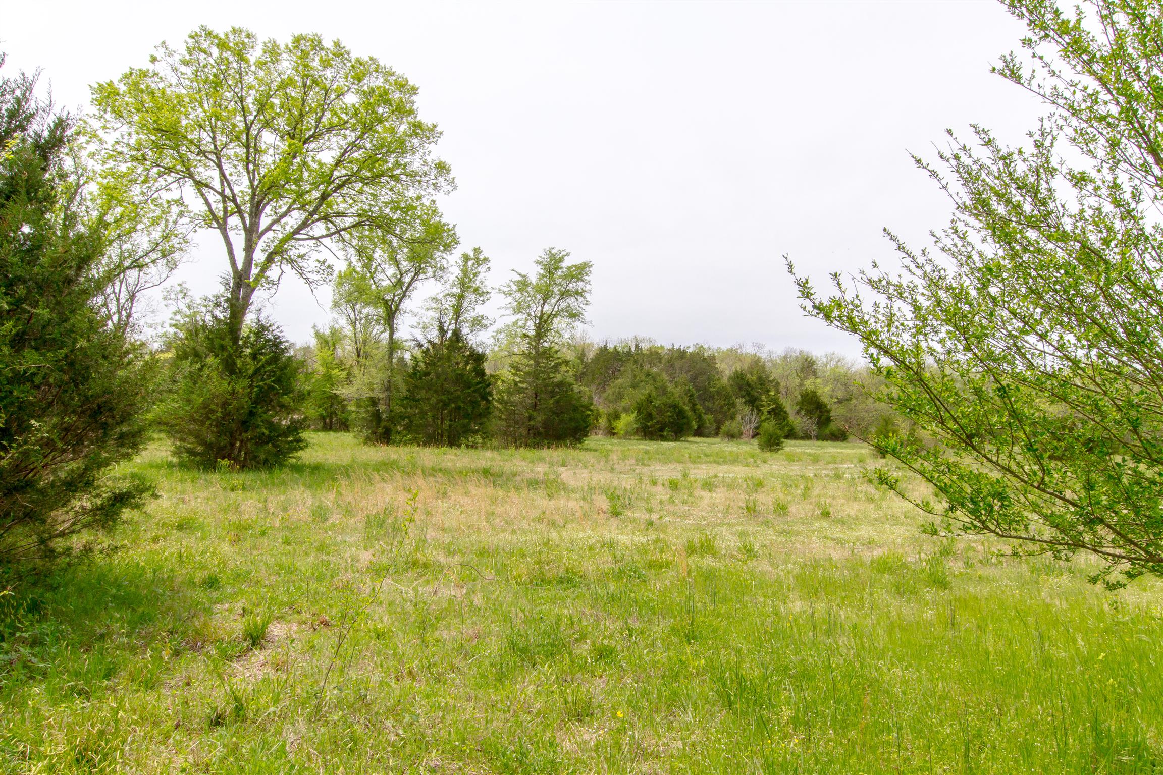 2284 Murray-Kittrell Road Readyville, TN 37149 - Photo 9 of 30 12.55 Level Acres-fenced and cross fenced for animals