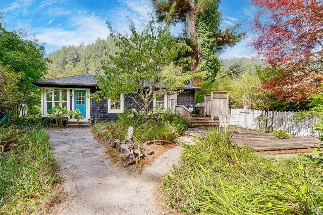 a view of a yard with plants and large trees