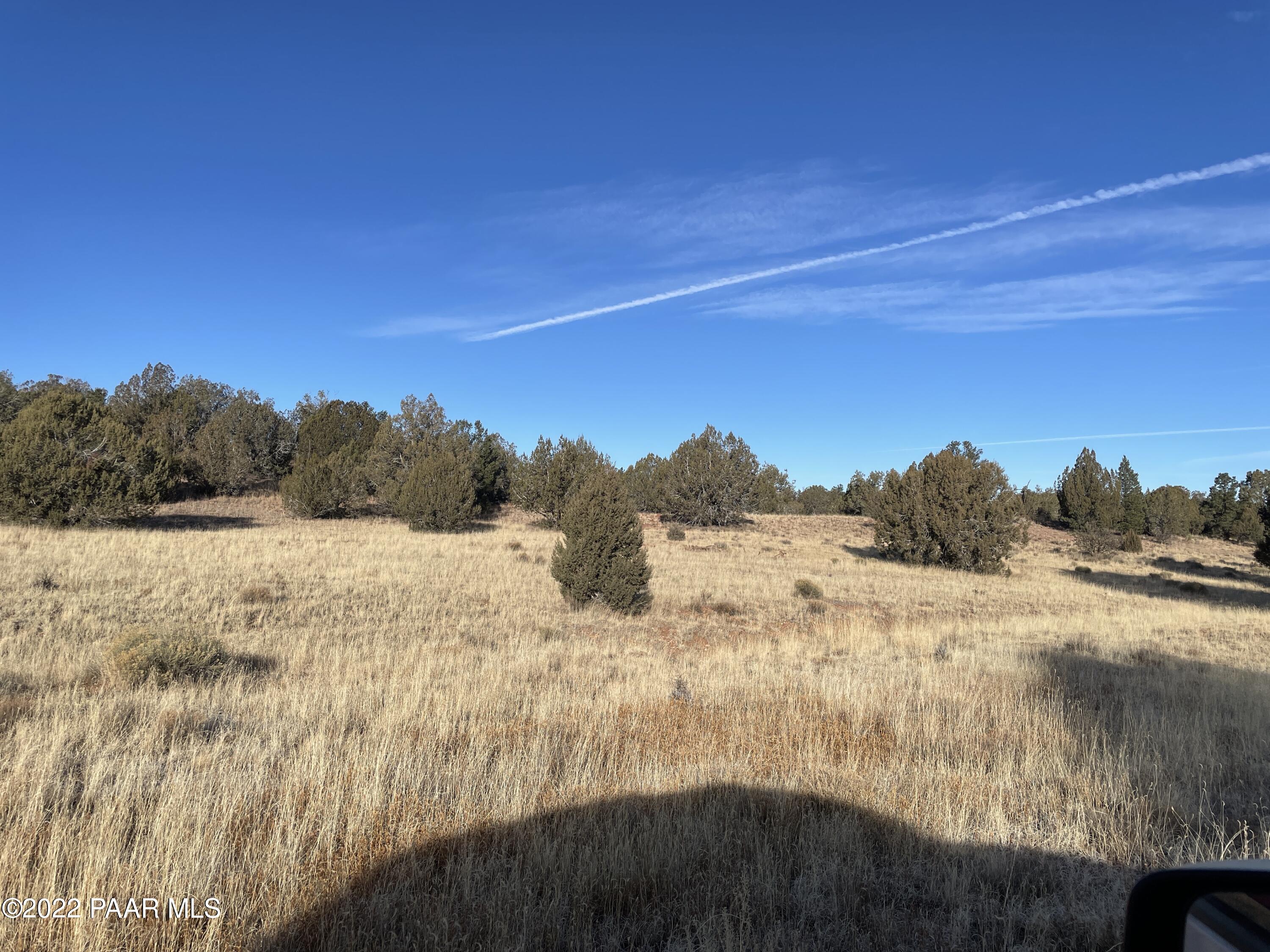 0 Wooden Ear Ranch Road Seligman, AZ 86337 - Photo 4 of 22 a view of mountain view with skyline