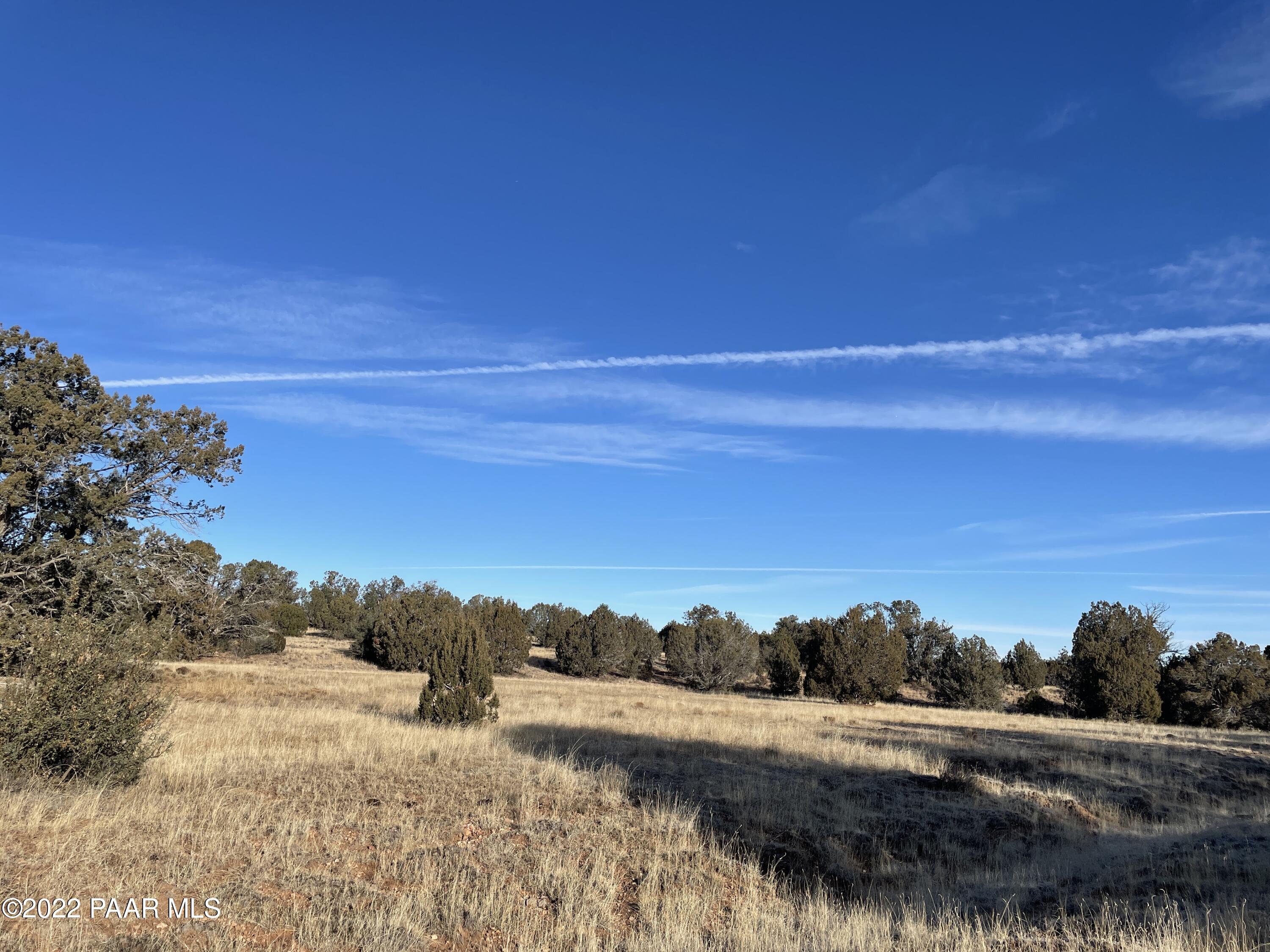 0 Wooden Ear Ranch Road Seligman, AZ 86337 - Photo 5 of 22 a view of lake view and mountain view