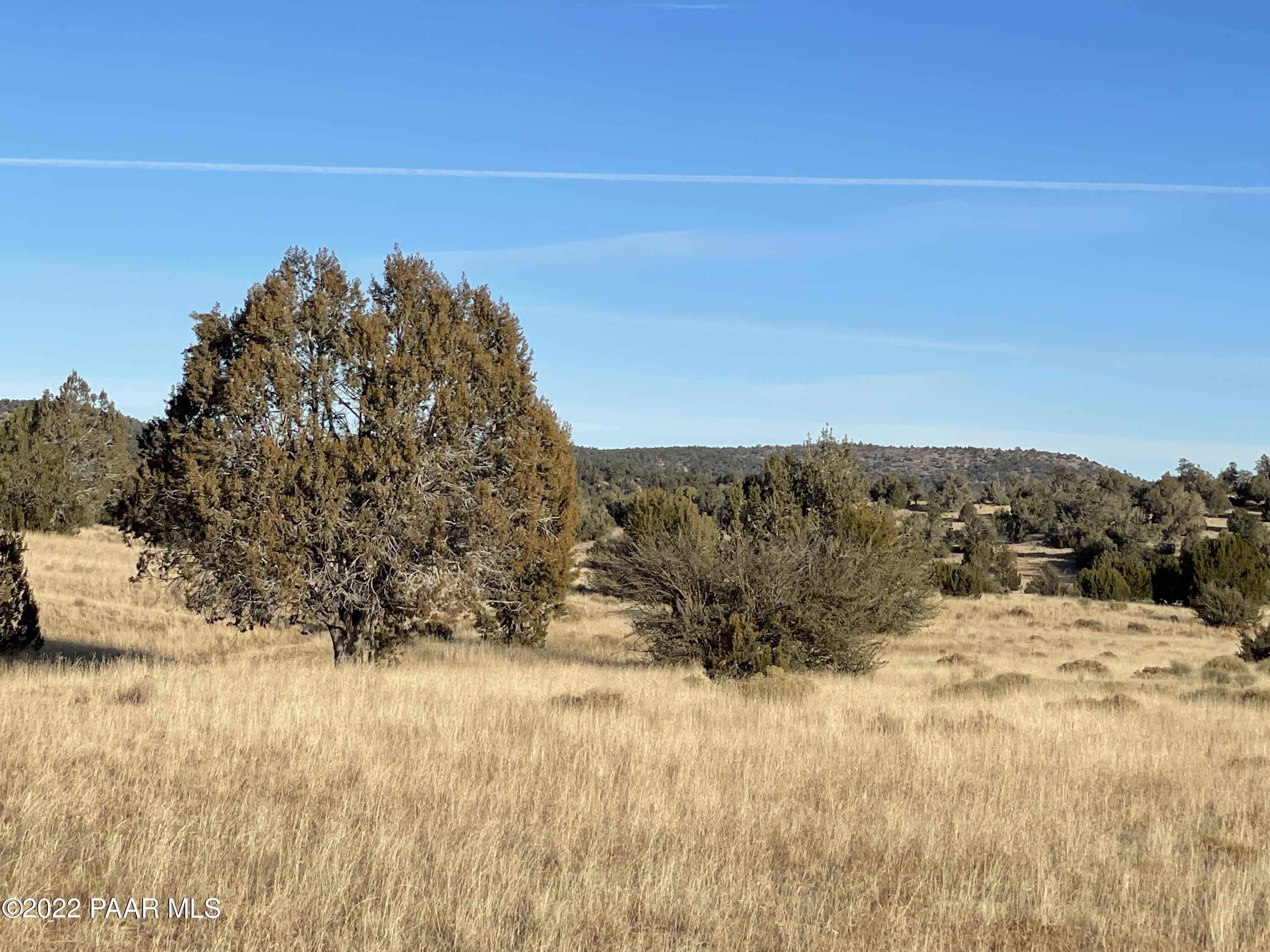 0 Wooden Ear Ranch Road Seligman, AZ 86337 - Photo 7 of 22 a view of a dry yard with wooden fence