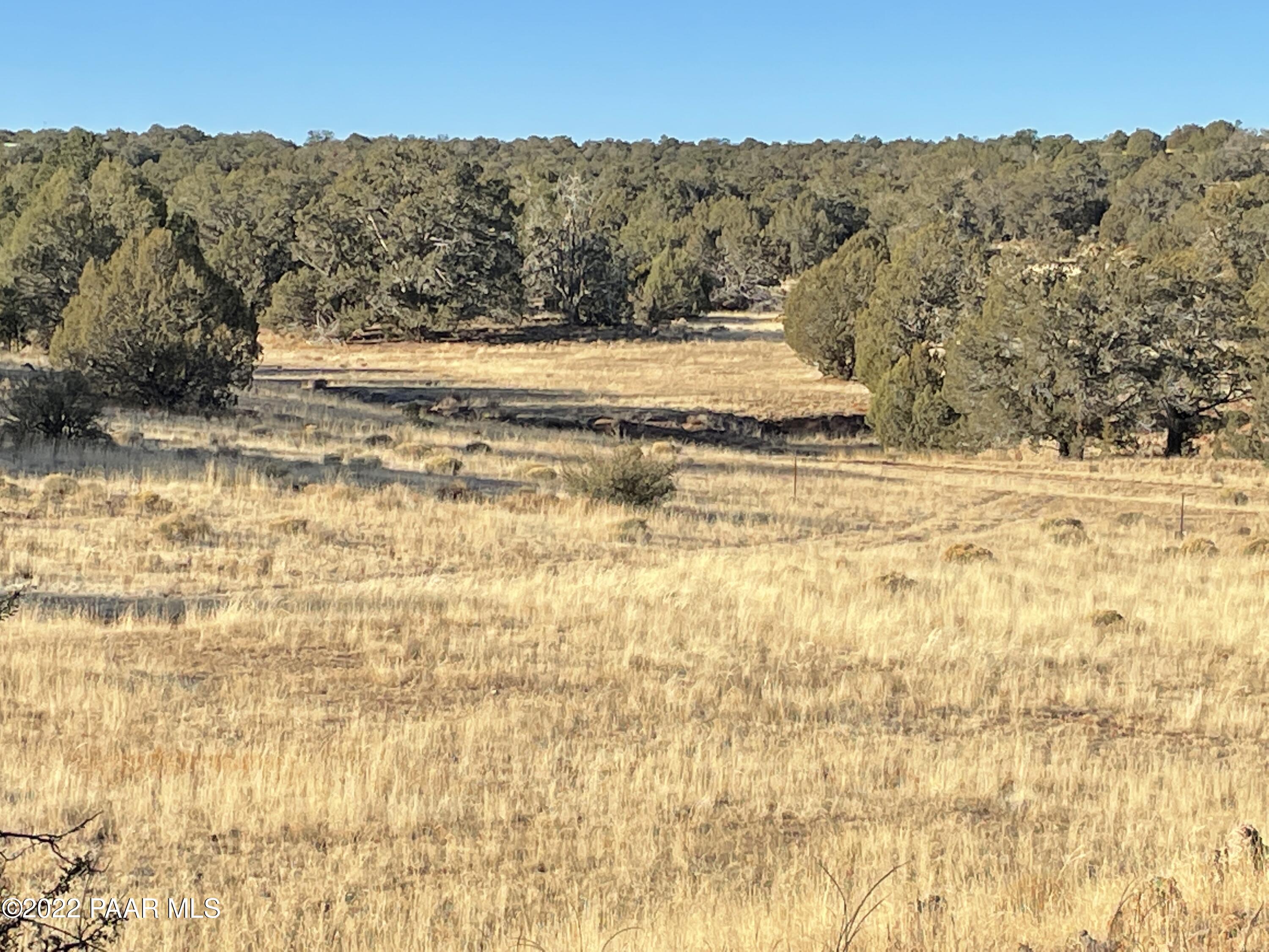 0 Wooden Ear Ranch Road Seligman, AZ 86337 - Photo 8 of 22 a view of ocean view