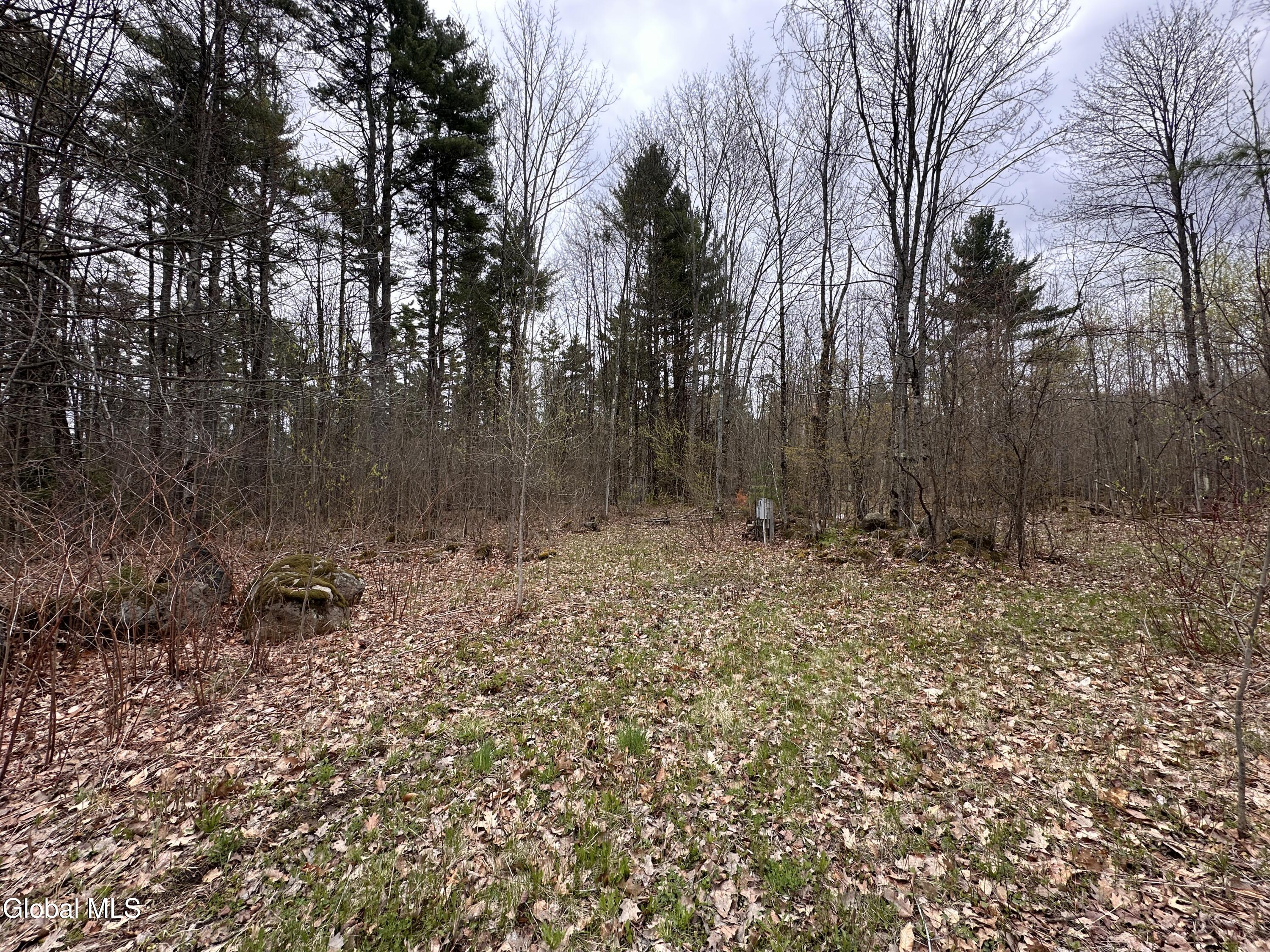 182 Furnace Road Moriah, NY 12960 - Photo 4 of 11 IMG_7221