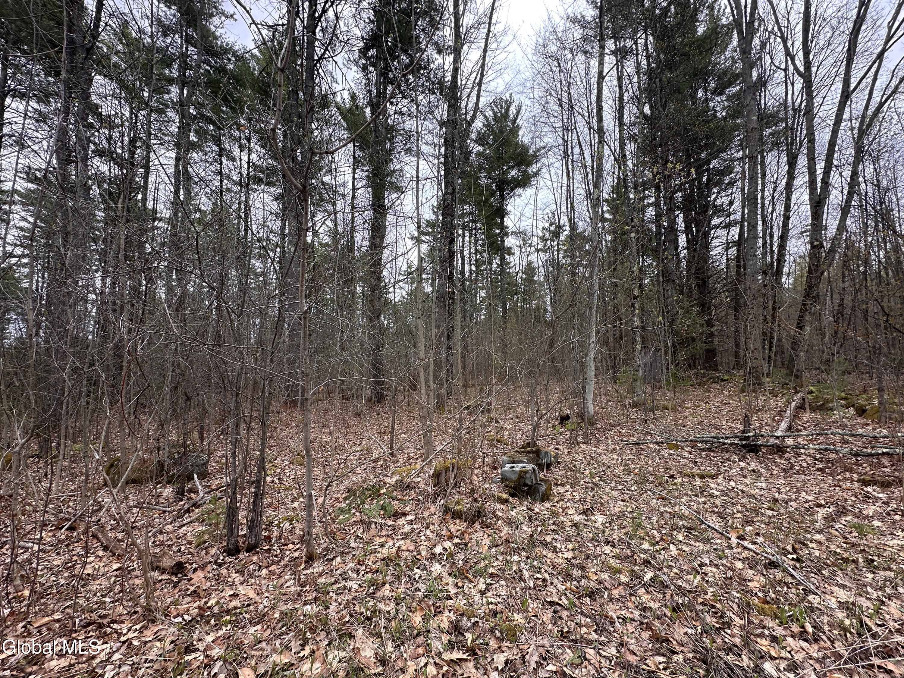 182 Furnace Road Moriah, NY 12960 - Photo 5 of 11 IMG_7224