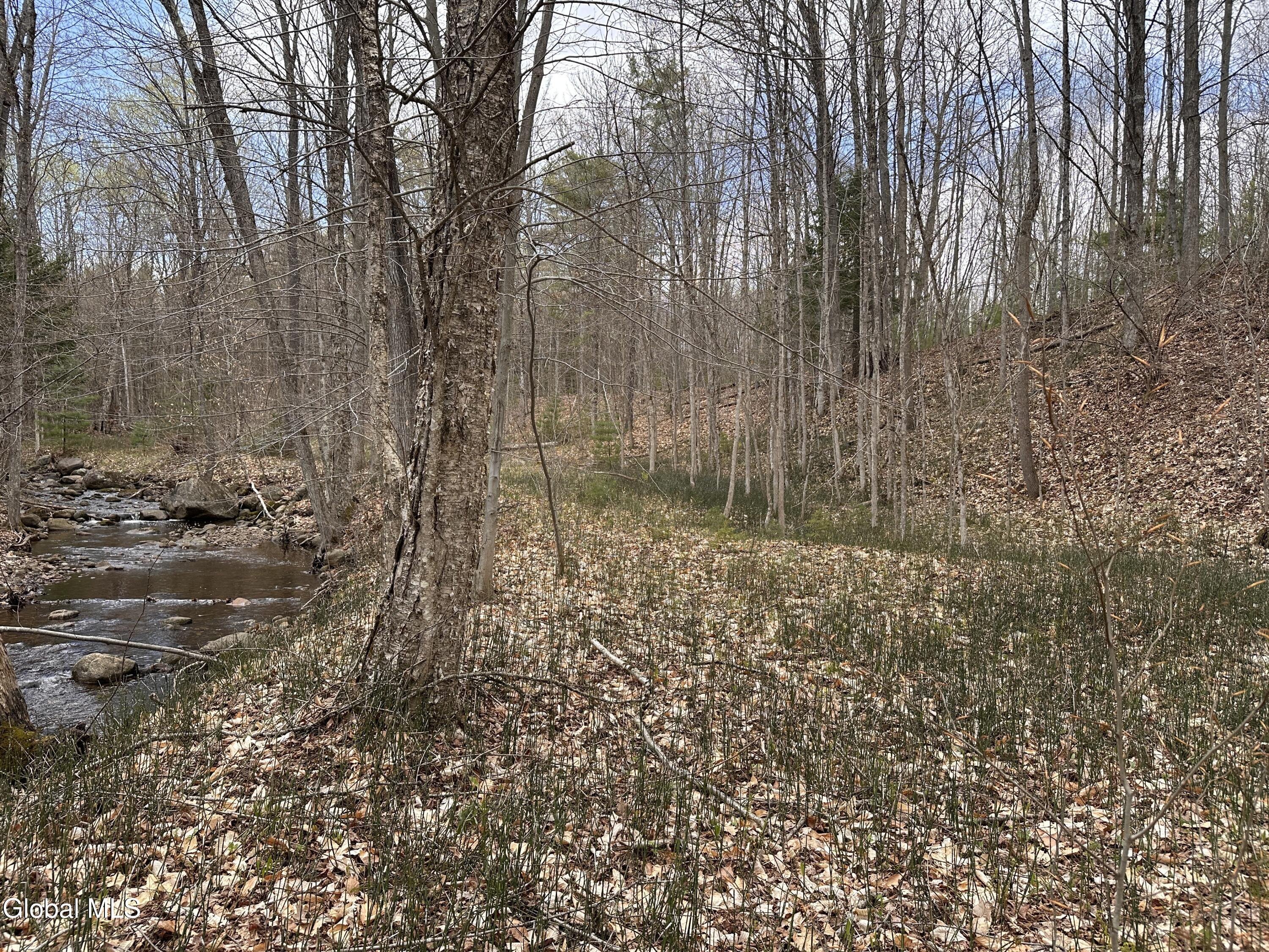 182 Furnace Road Moriah, NY 12960 - Photo 7 of 11 IMG_7243