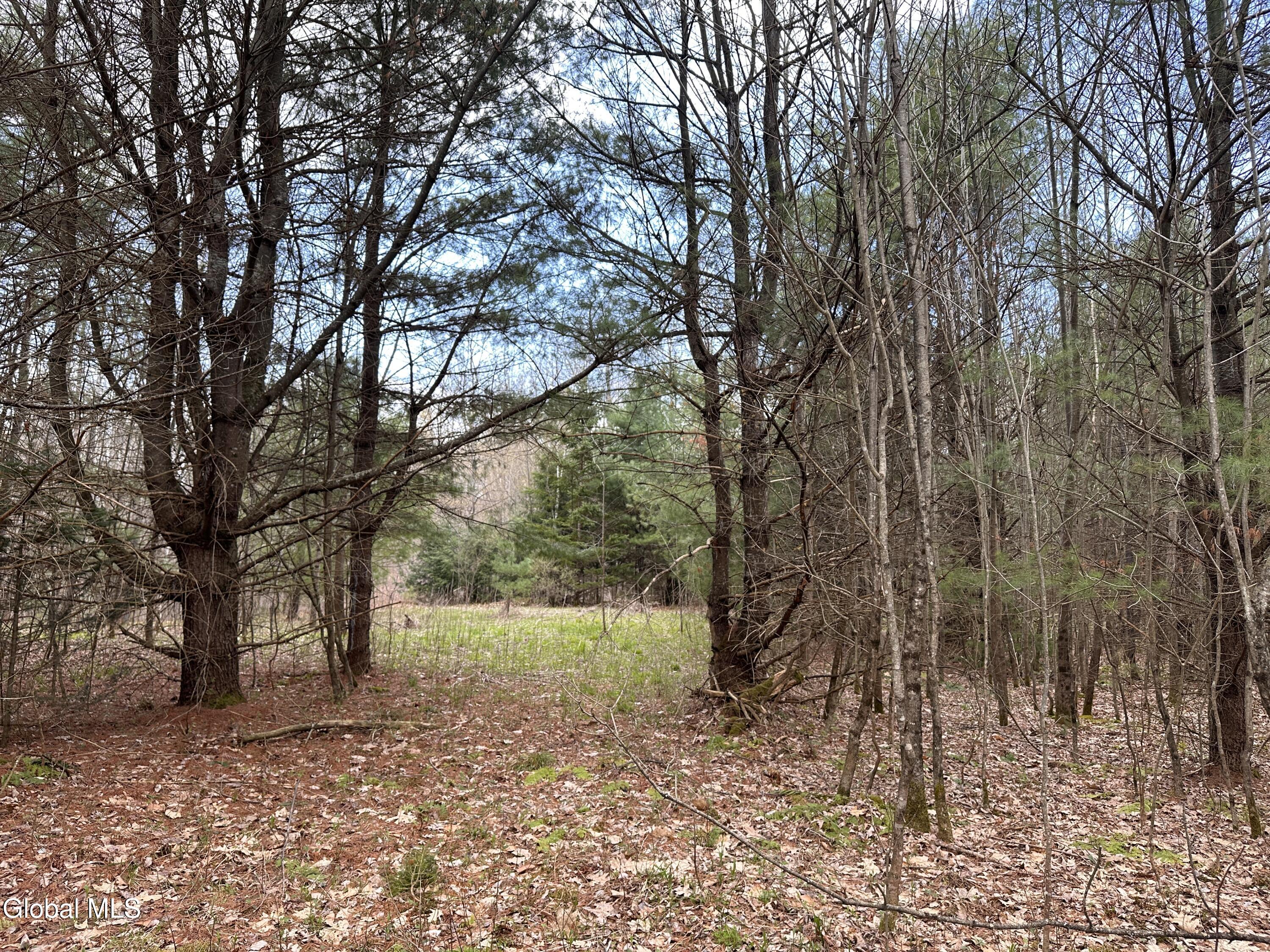 182 Furnace Road Moriah, NY 12960 - Photo 8 of 11 IMG_7239