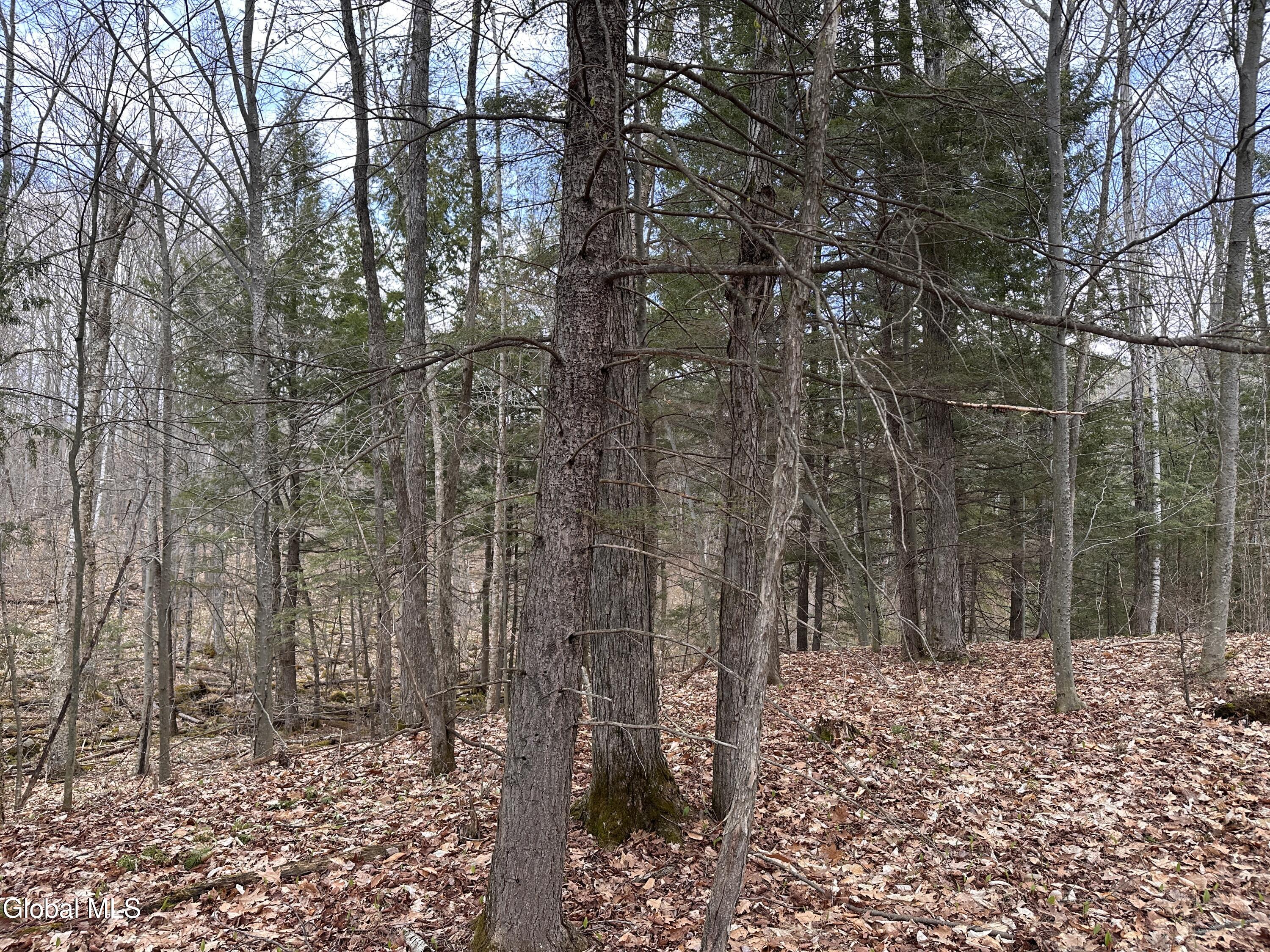 182 Furnace Road Moriah, NY 12960 - Photo 10 of 11 IMG_7238
