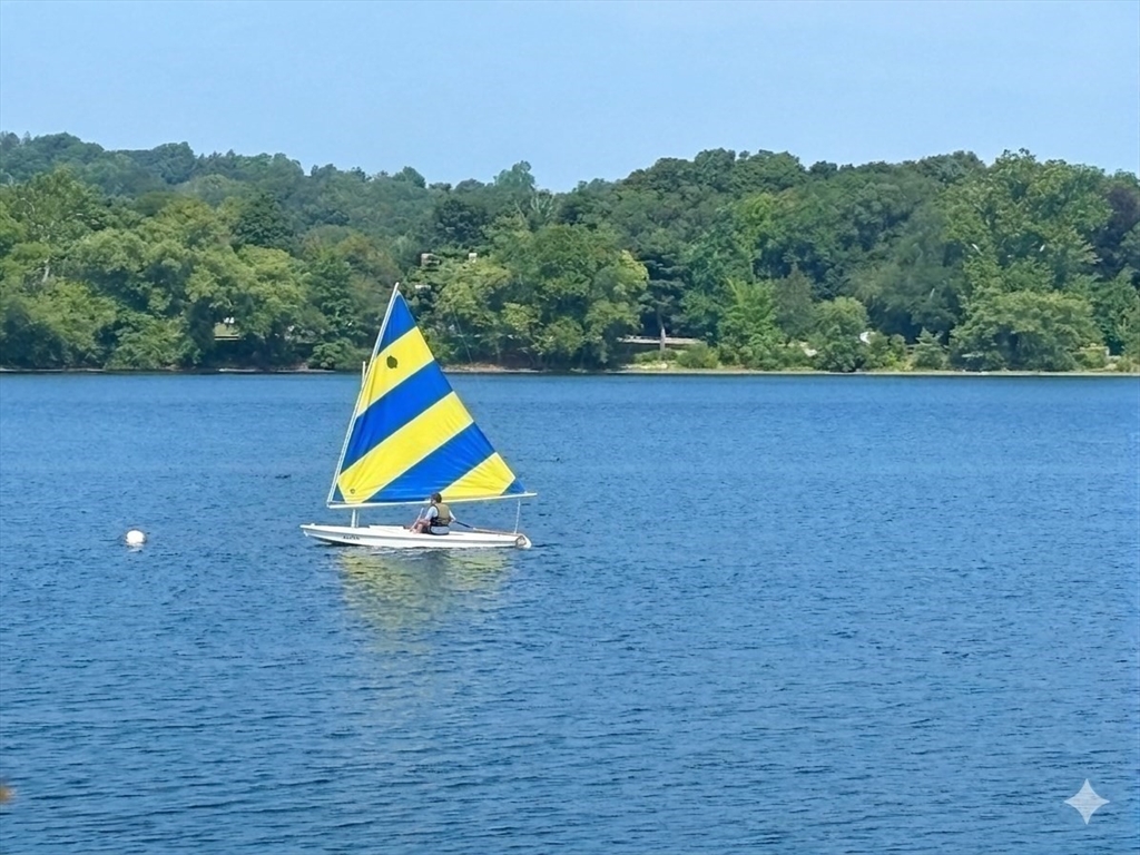 29 Goldsmith Street, Unit 2 Boston, MA 02130 - Photo 18 of 24