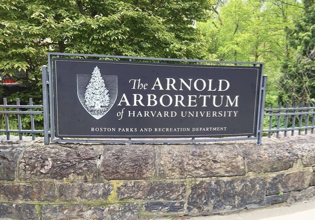 29 Goldsmith Street, Unit 2 Boston, MA 02130 - Photo 20 of 24