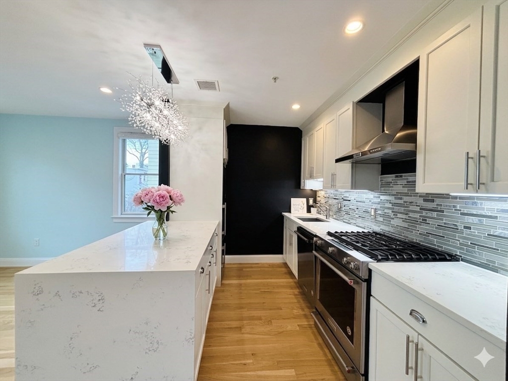 29 Goldsmith Street, Unit 2 Boston, MA 02130 - Photo 2 of 24