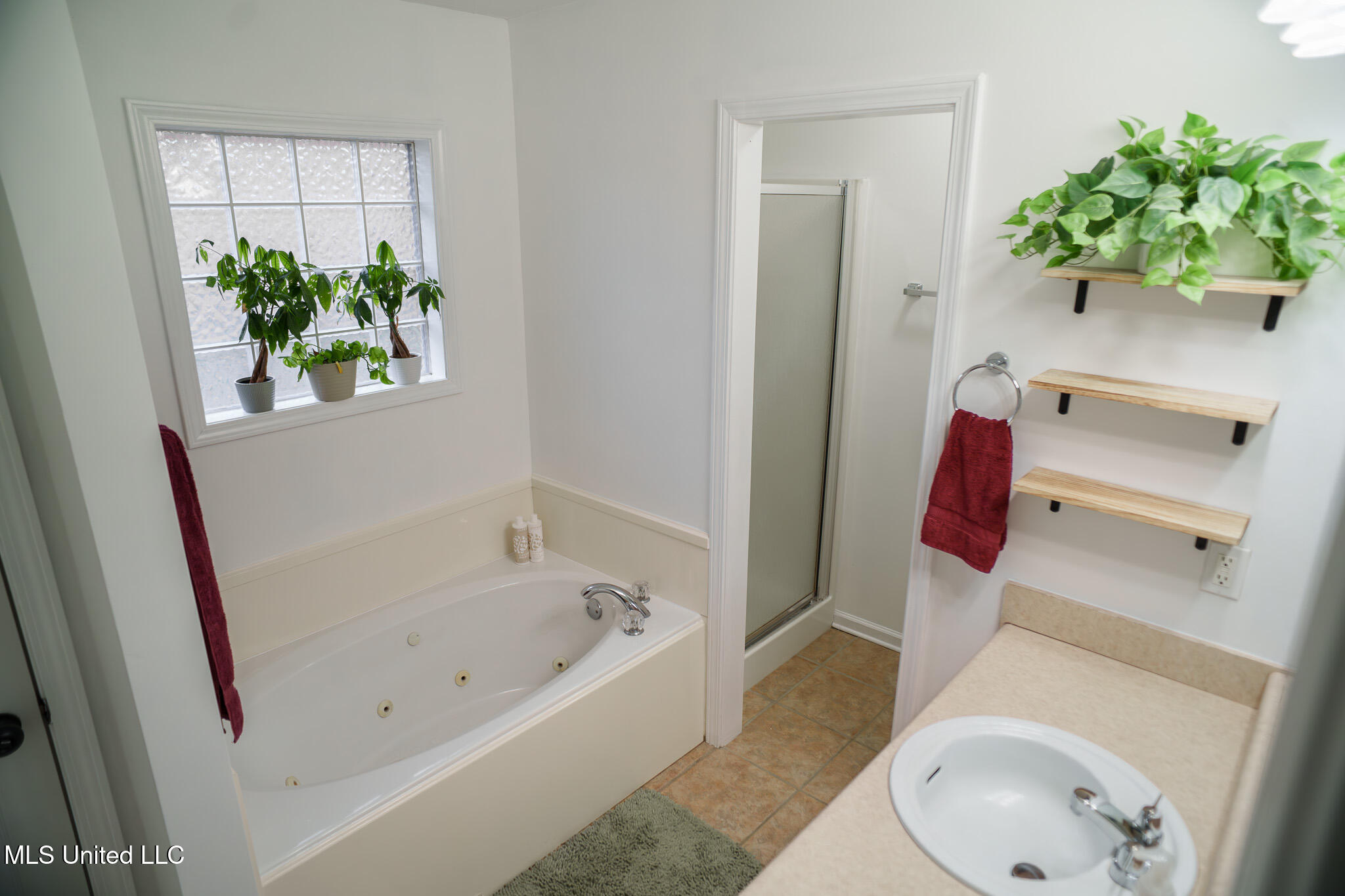 424 Timber Ridge Way Brandon, MS 39047 - Photo 11 of 27 master bath repainted